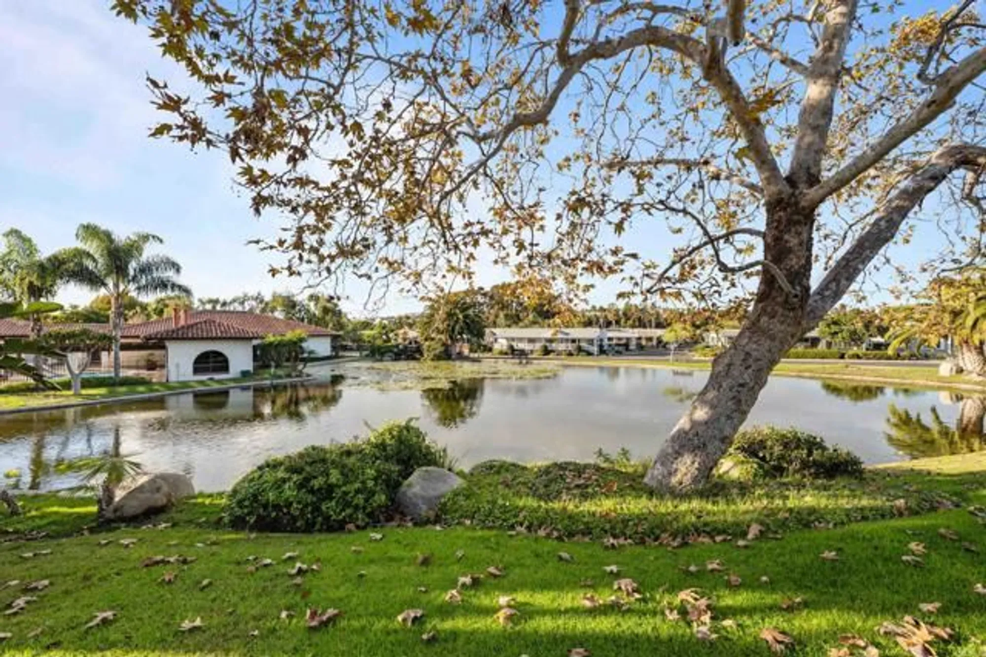 Property Slideshow image 29 of 31 | 5155 don rodolfo dr, Carlsbad, CA, 92010