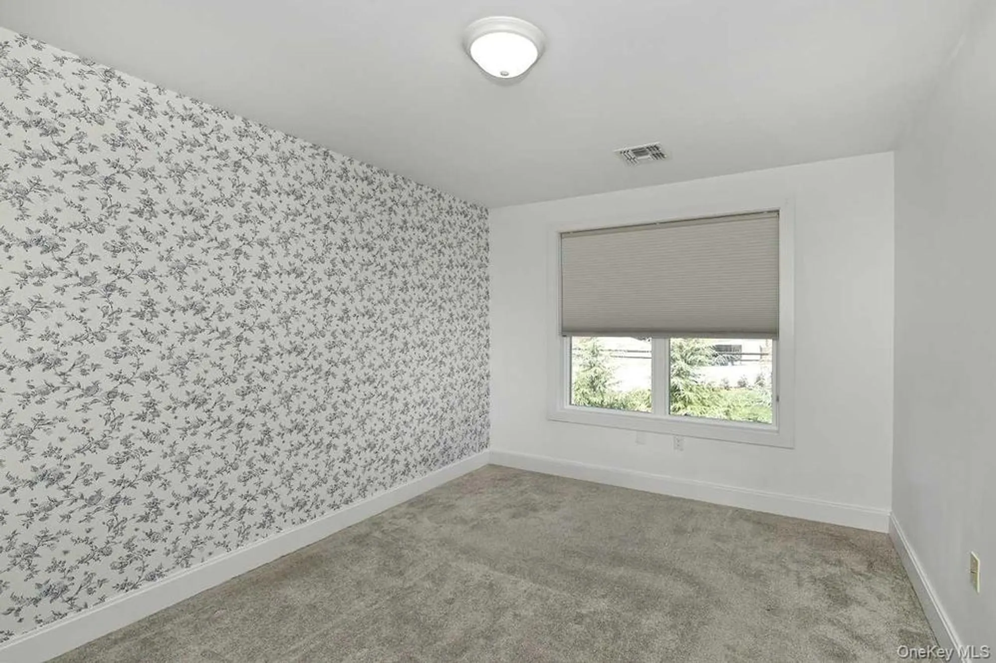 Property Slideshow image 12 of 20 | 123 emanuel way, East Meadow, NY, 11554