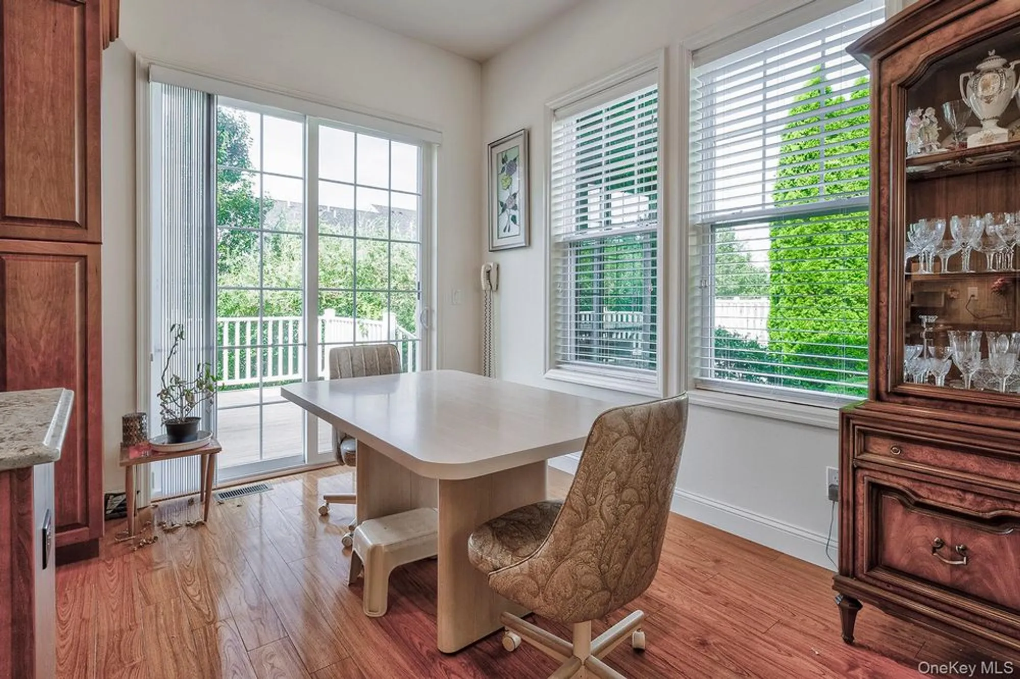 Property Slideshow image 19 of 28 | 60 pacific dunes ct, Medford, NY, 11763