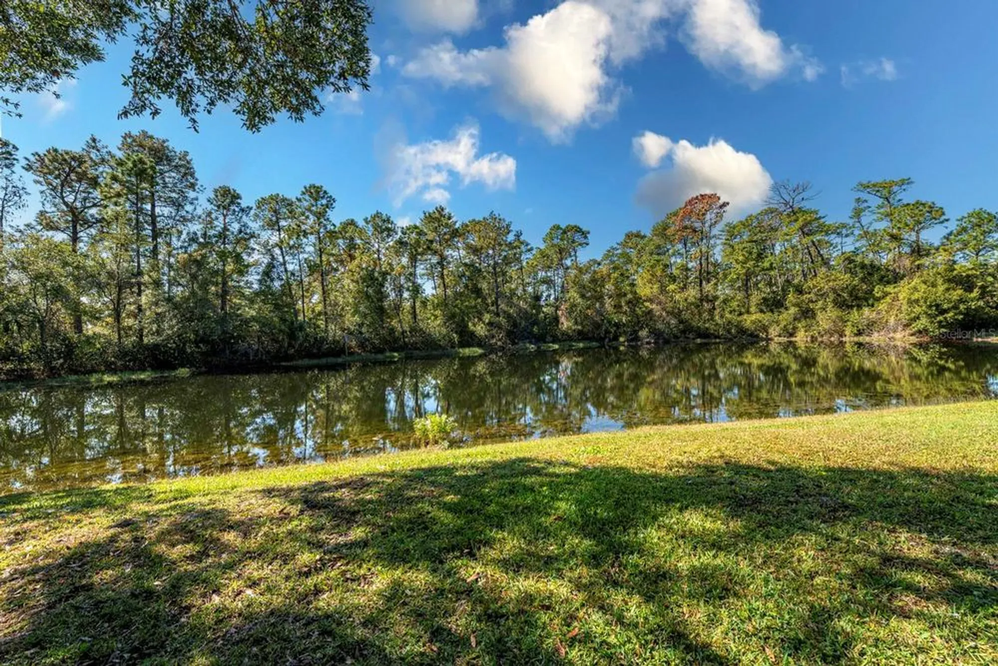 Property Slideshow image 52 of 64 | 5061 greenbriar trl, Mount Dora, FL, 32757