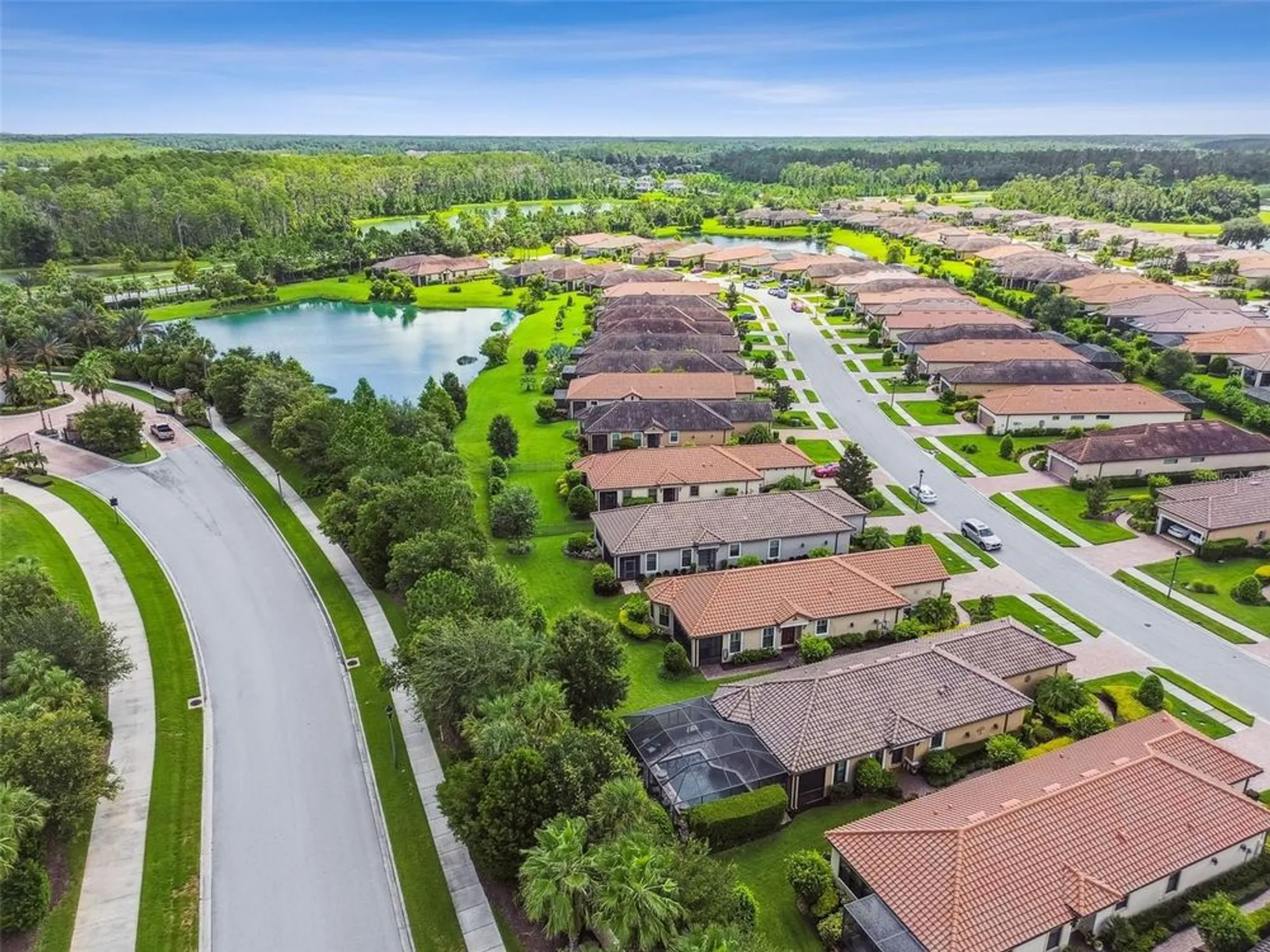 Property Slideshow image 66 of 70 | 11551 callisia dr, Odessa, FL, 33556