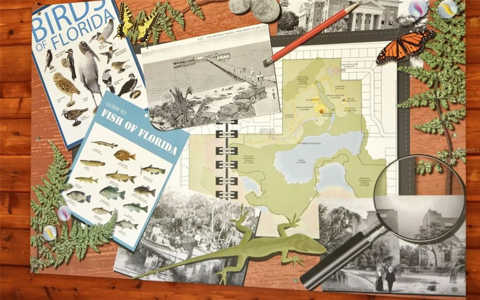 Property Slideshow image 55 of 60 | 8068 estates dr, Sarasota, FL, 34243