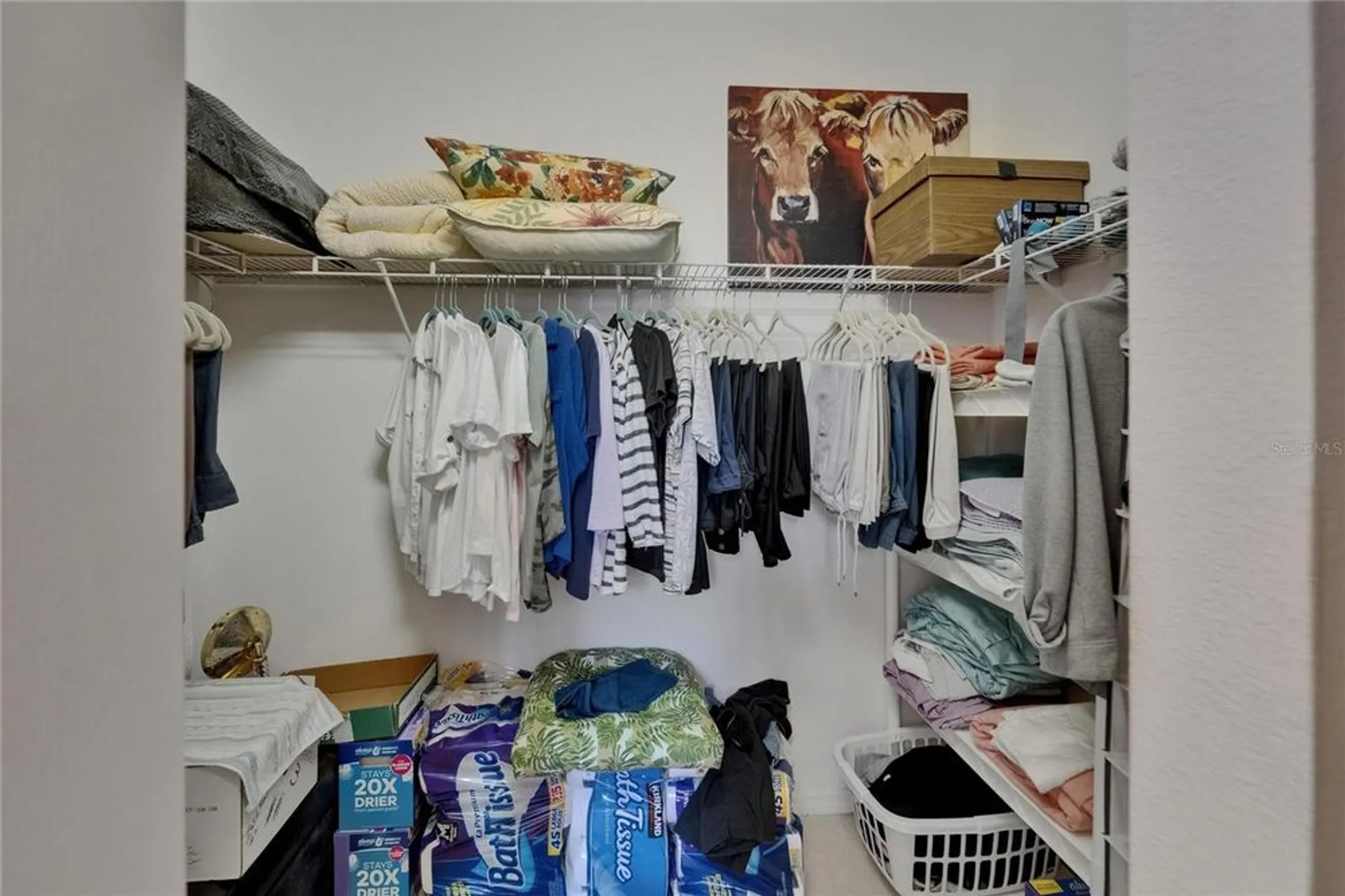 Property Slideshow image 17 of 81 | 16261 amethyst key dr, Wimauma, FL, 33598