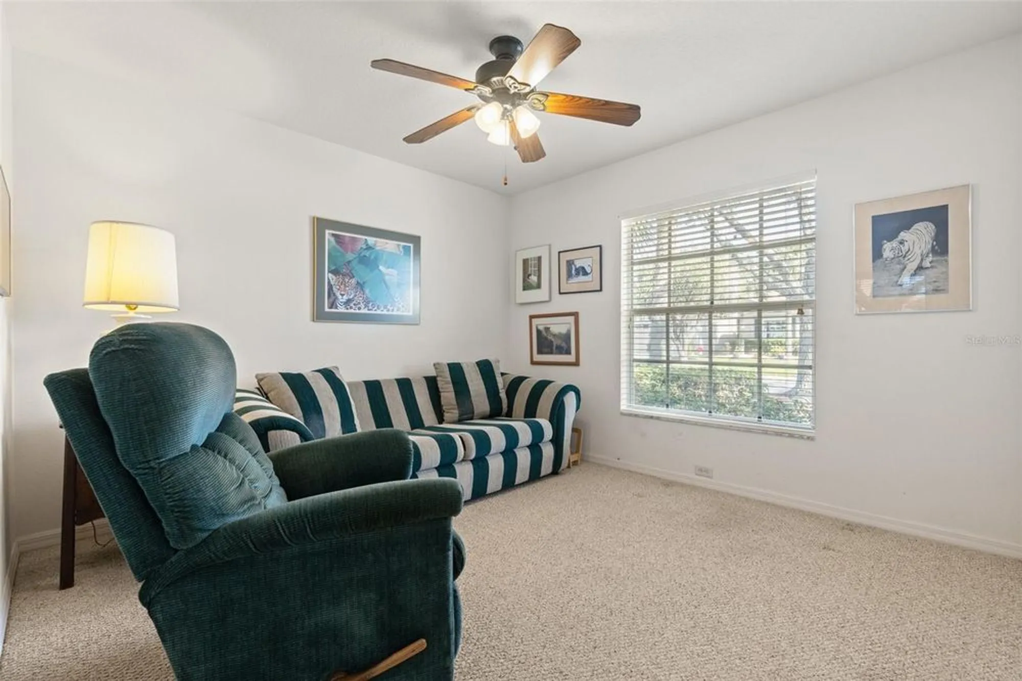 Property Slideshow image 24 of 60 | 10833 collar dr, San Antonio, FL, 33576