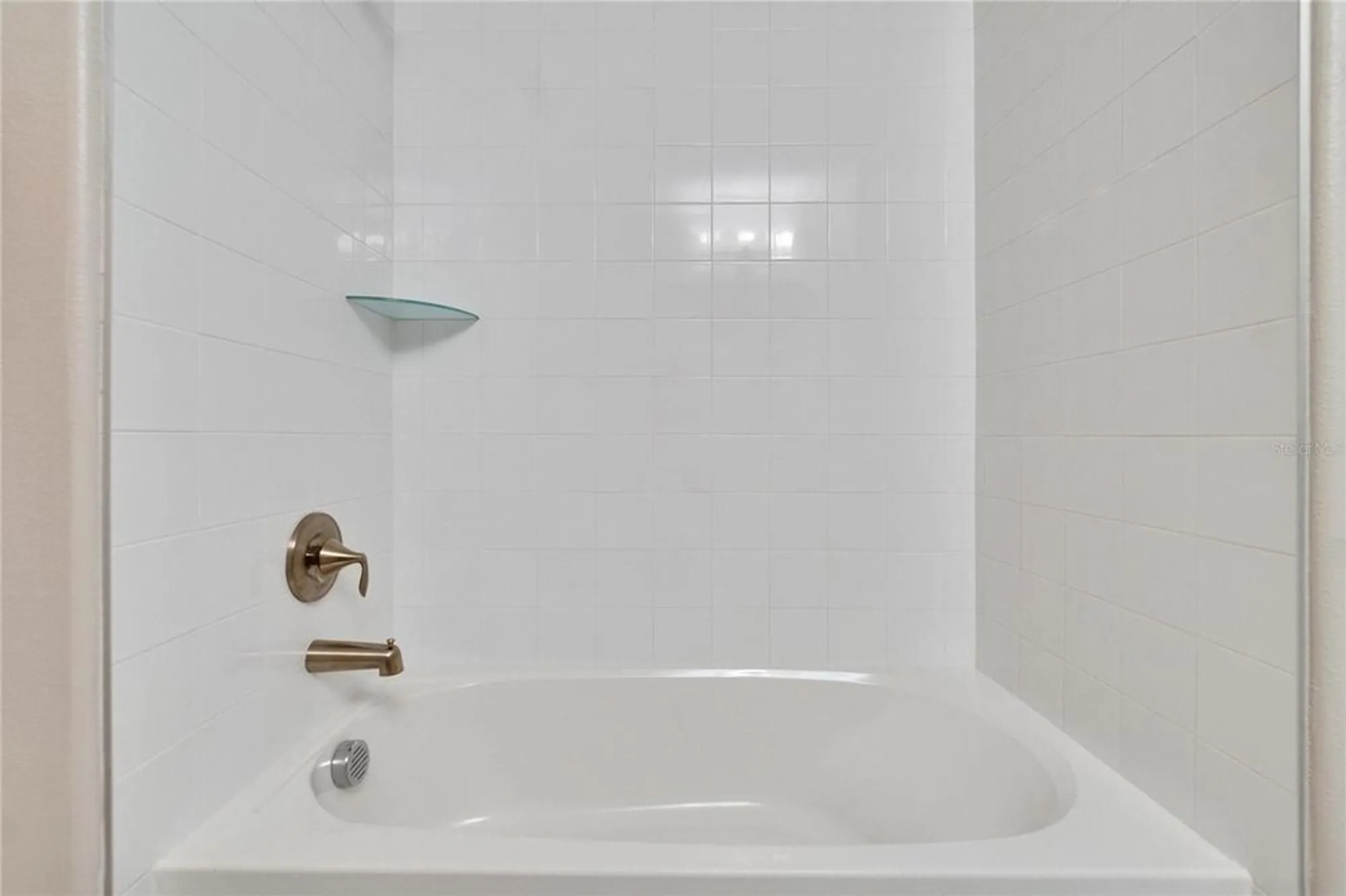 Property Slideshow image 11 of 97 | 16927 april plush dr, Wimauma, FL, 33598