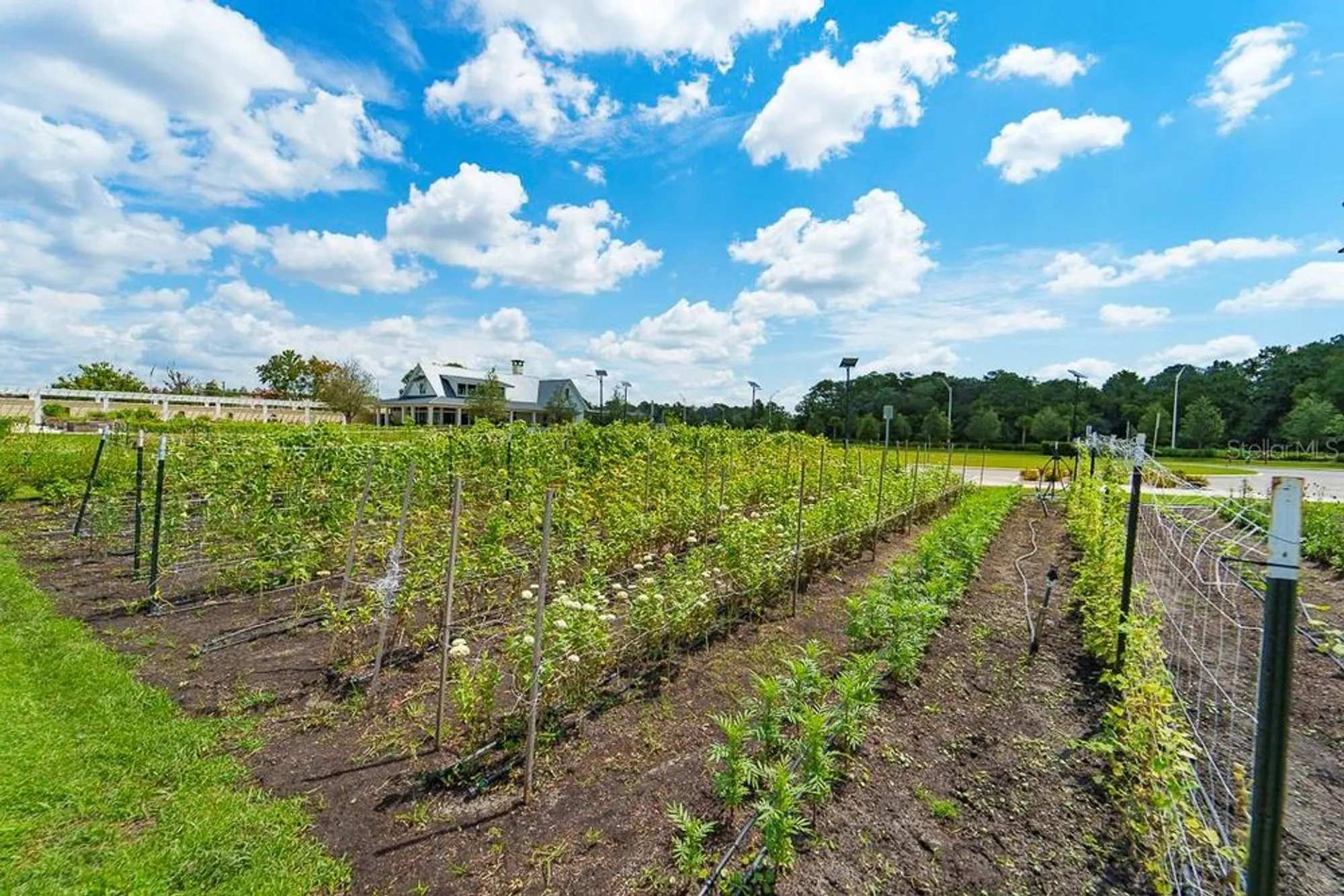 Property Slideshow image 68 of 71 | 10982 banyan breeze blvd, Land O Lakes, FL, 34638