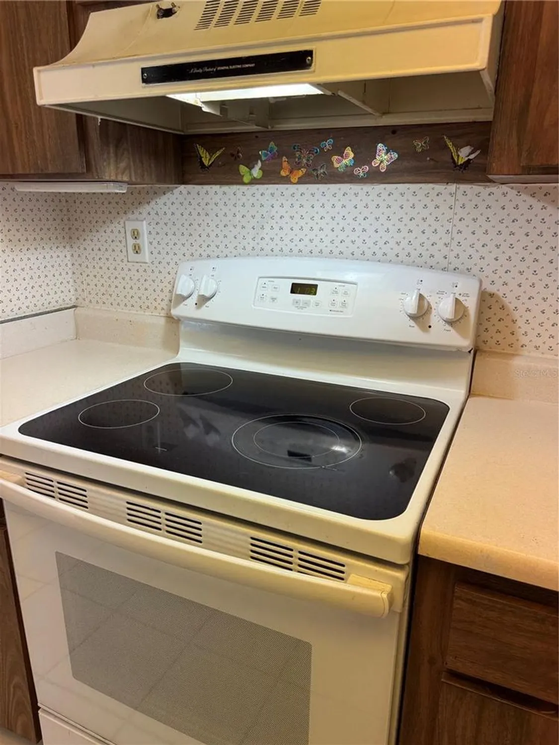 Property Slideshow image 15 of 35 | 1619 whithorn pl d, Palm Harbor, FL, 34684