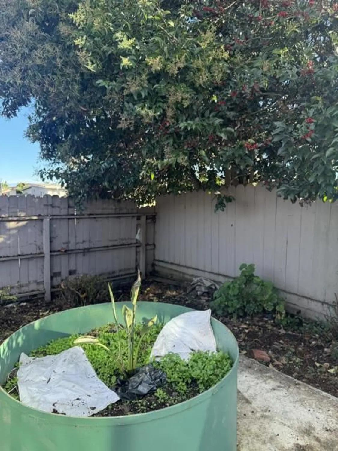 Property Slideshow image 14 of 16 | 501 cedar dr, Watsonville, CA, 95076