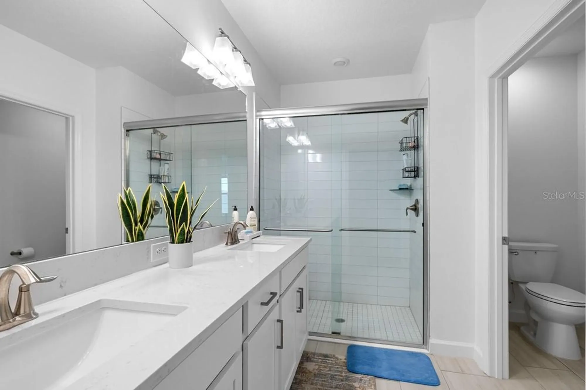 Property Slideshow image 20 of 38 | 17222 holly well ave, Wimauma, FL, 33598