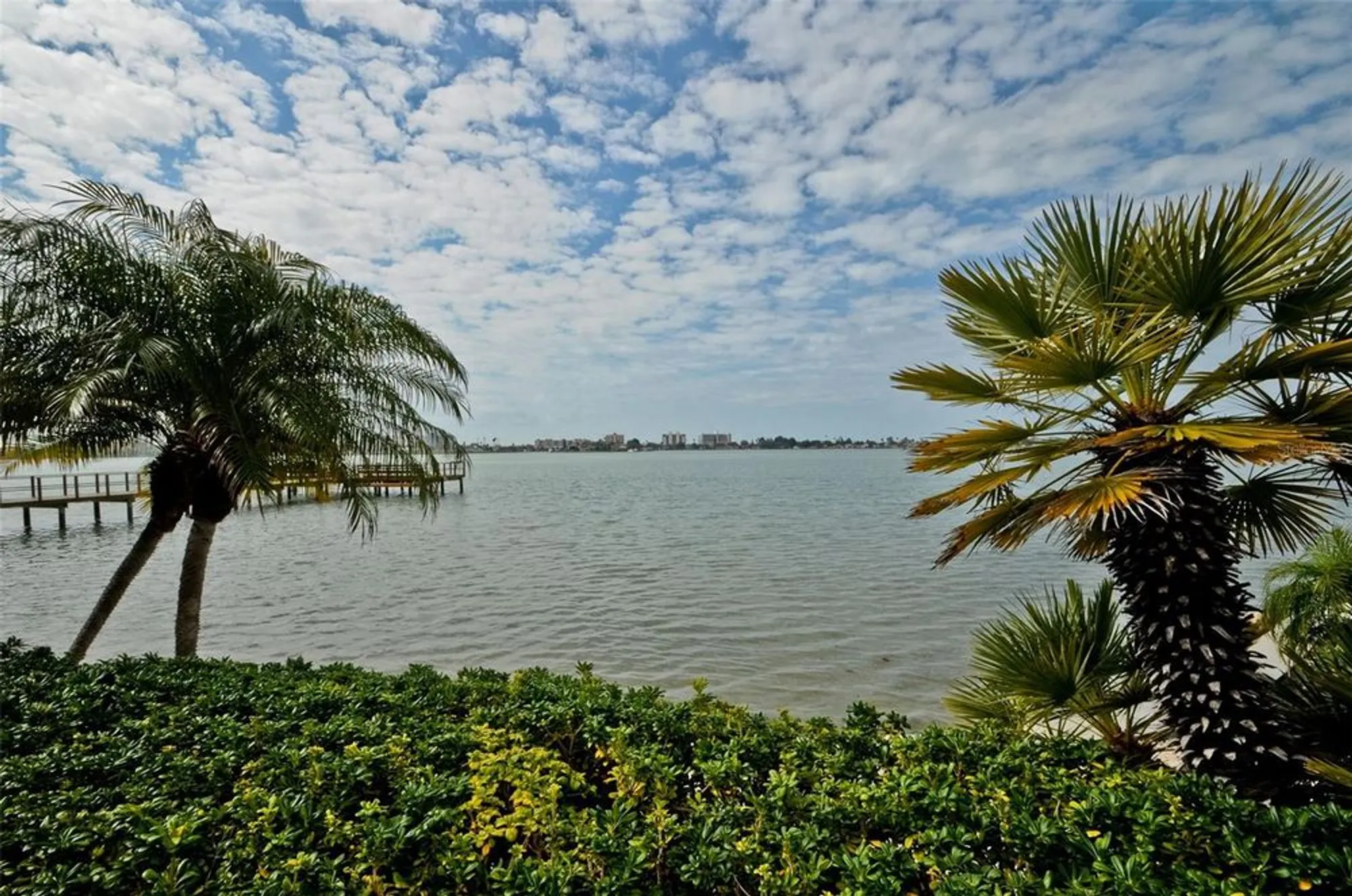 Property Slideshow image 45 of 50 | 4550 cove cir apt 502, St Petersburg, FL, 33708