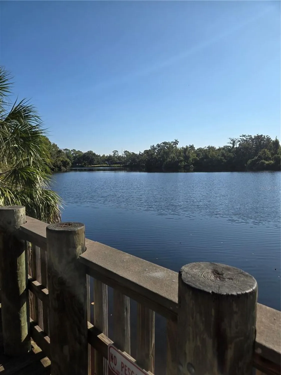 Property Slideshow image 44 of 64 | 8010 conservatory dr, Sarasota, FL, 34243