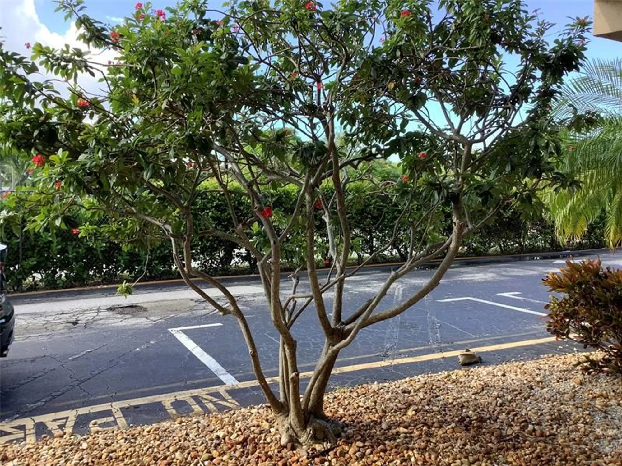 Property Slideshow image 26 of 26 | 2300 ne 1st ln apt 107, Boynton Beach, FL, 33435