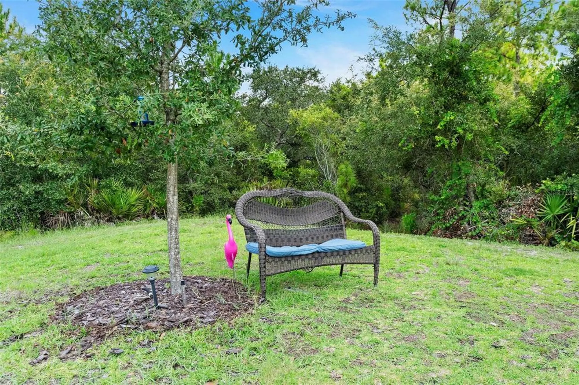 Property Slideshow image 8 of 68 | 3903 winged elm ct, Clermont, FL, 34714