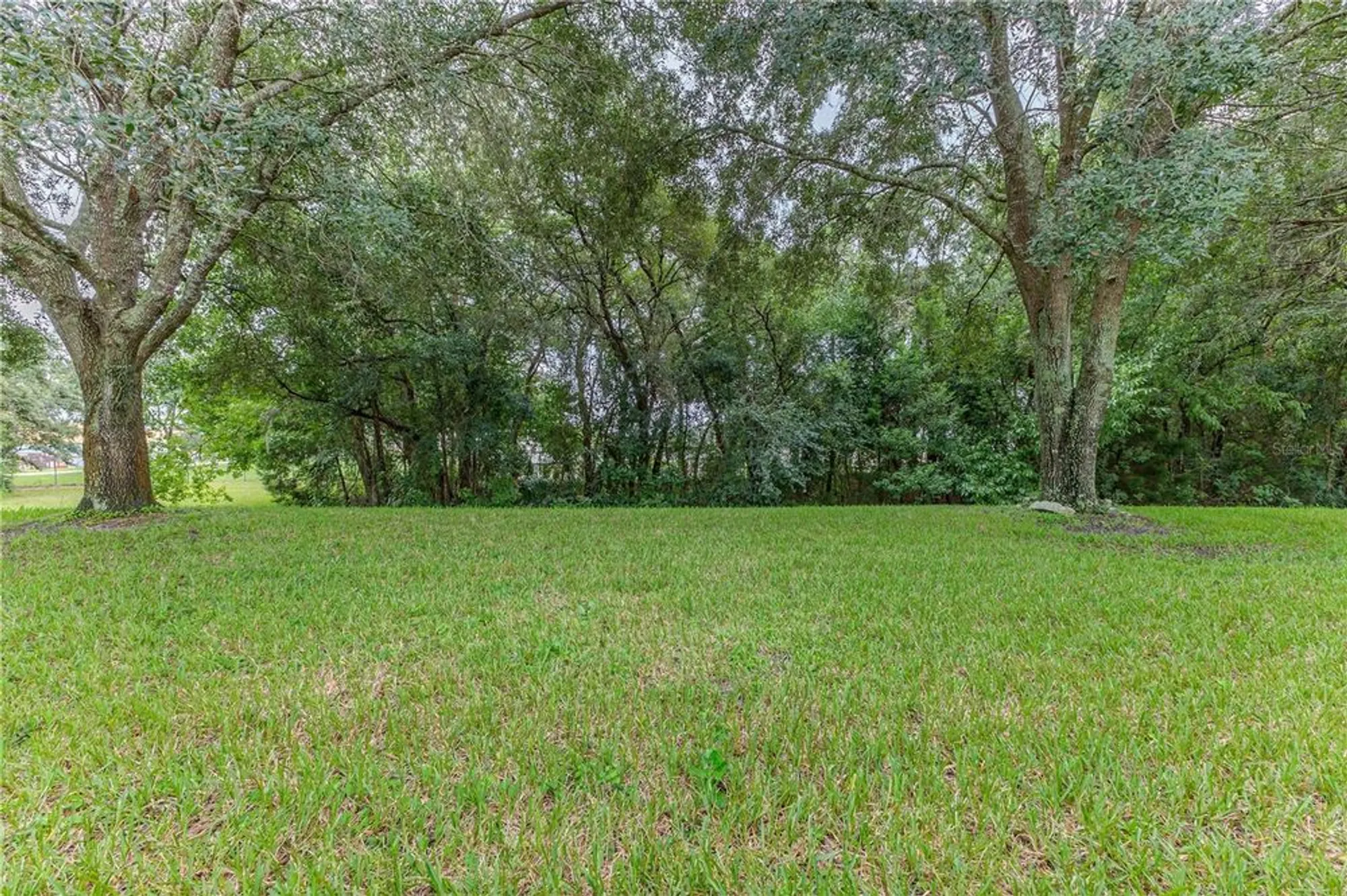 Property Slideshow image 49 of 49 | 11158 heathrow ave, Spring Hill, FL, 34609