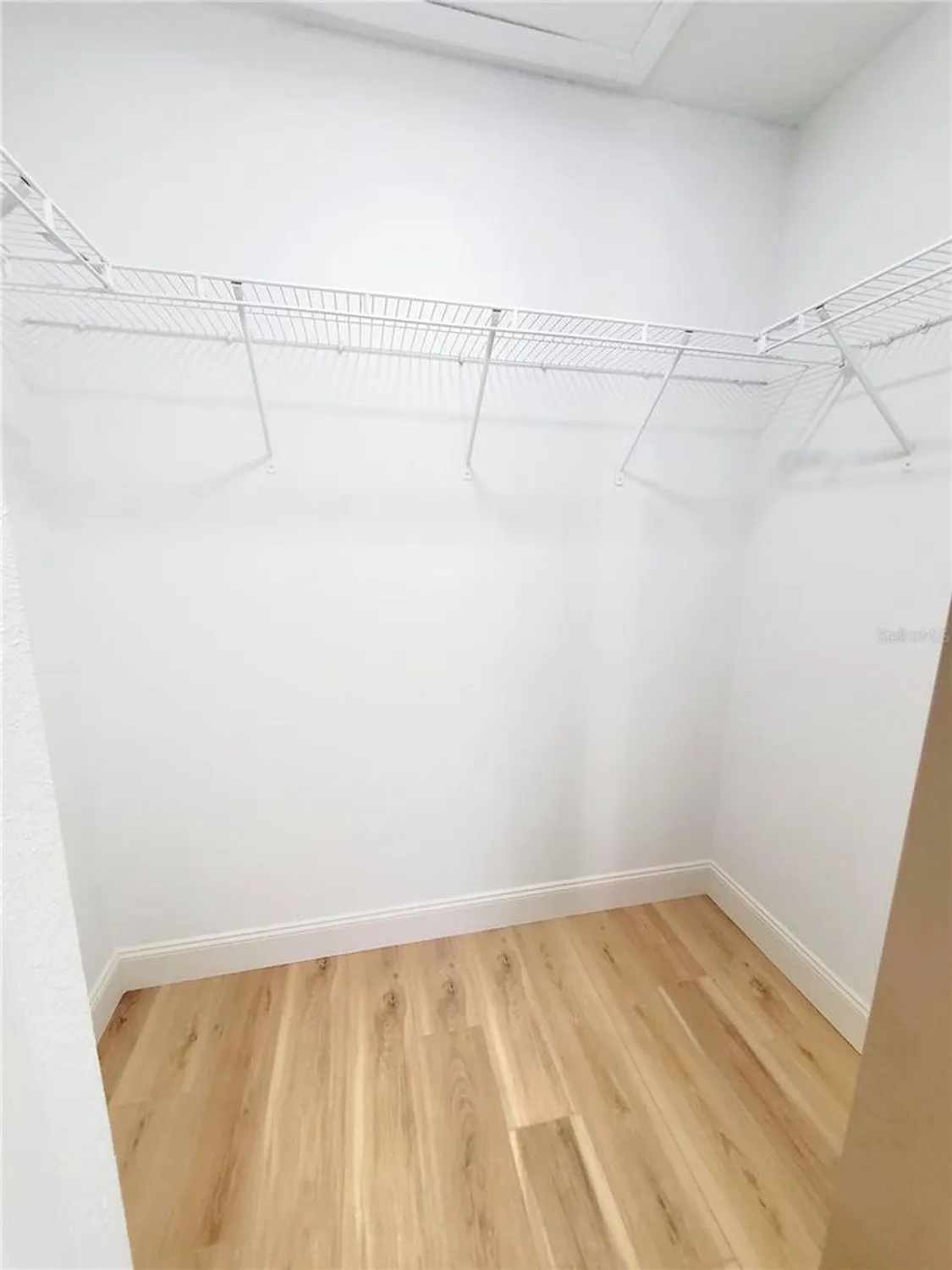 Property Slideshow image 33 of 50 | 1517 morning rose pl, Trinity, FL, 34655