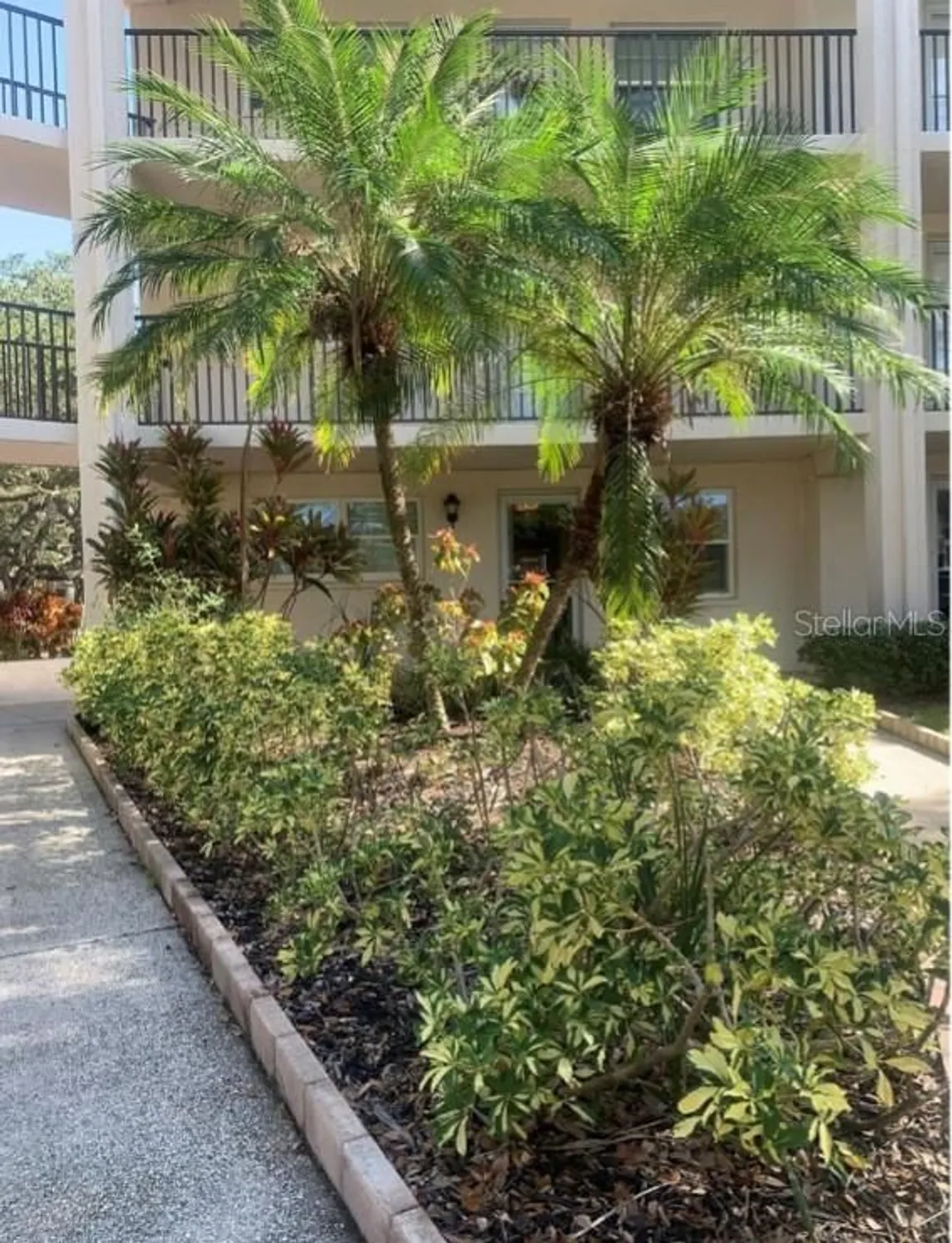 Property Slideshow image 46 of 52 | 840 virginia st 108, Dunedin, FL, 34698