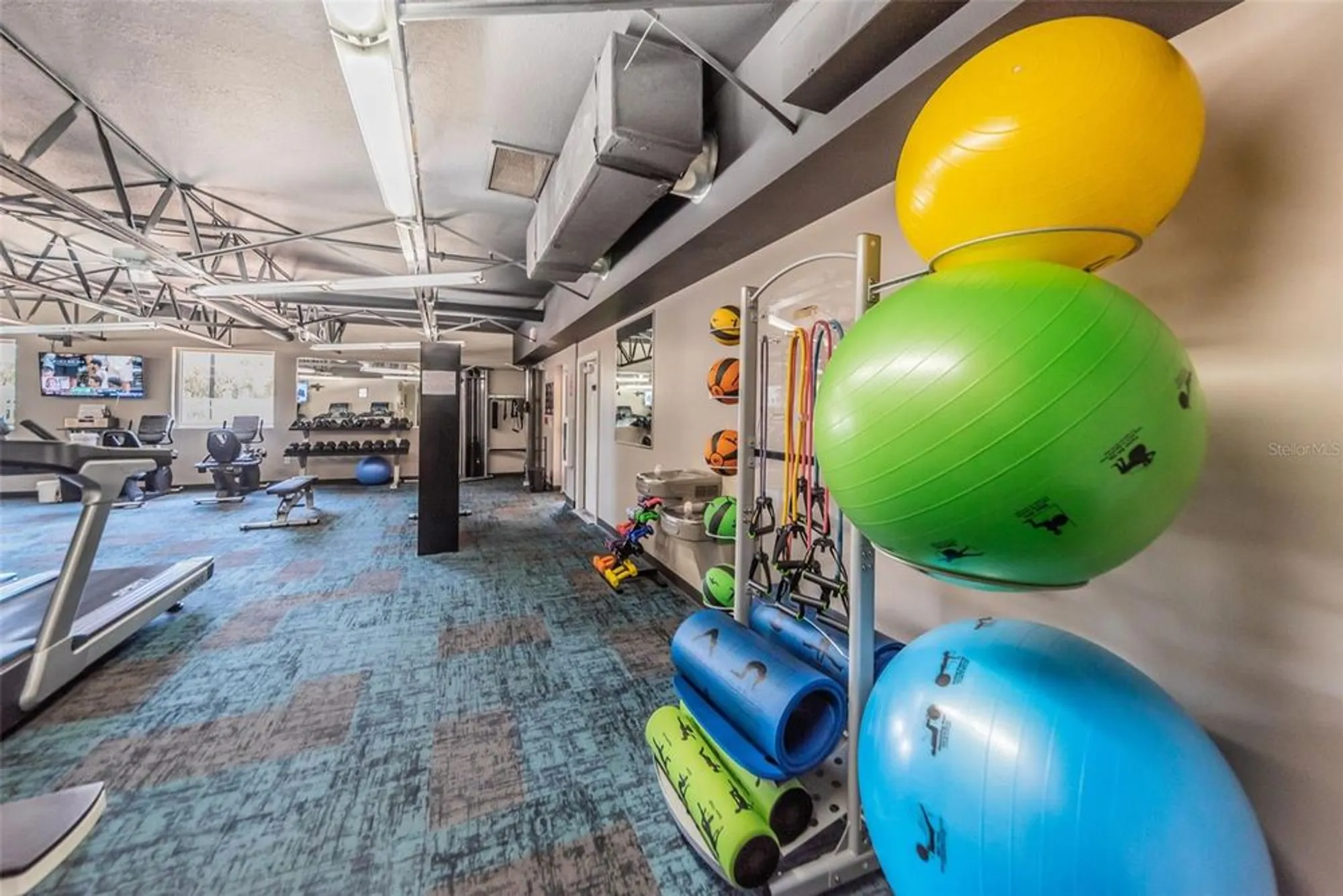 Property Slideshow image 72 of 100 | 11427 turtle dove pl, New Port Richey, FL, 34654