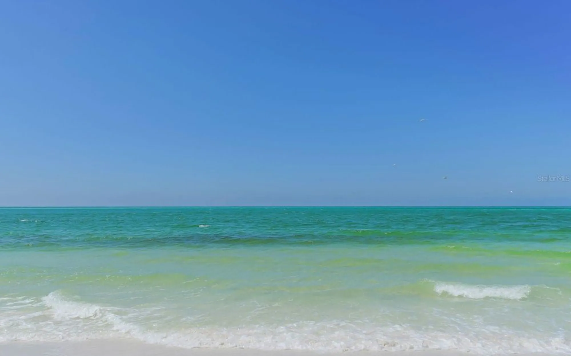 Property Slideshow image 38 of 56 | 19 whispering sands dr 802, Sarasota, FL, 34242