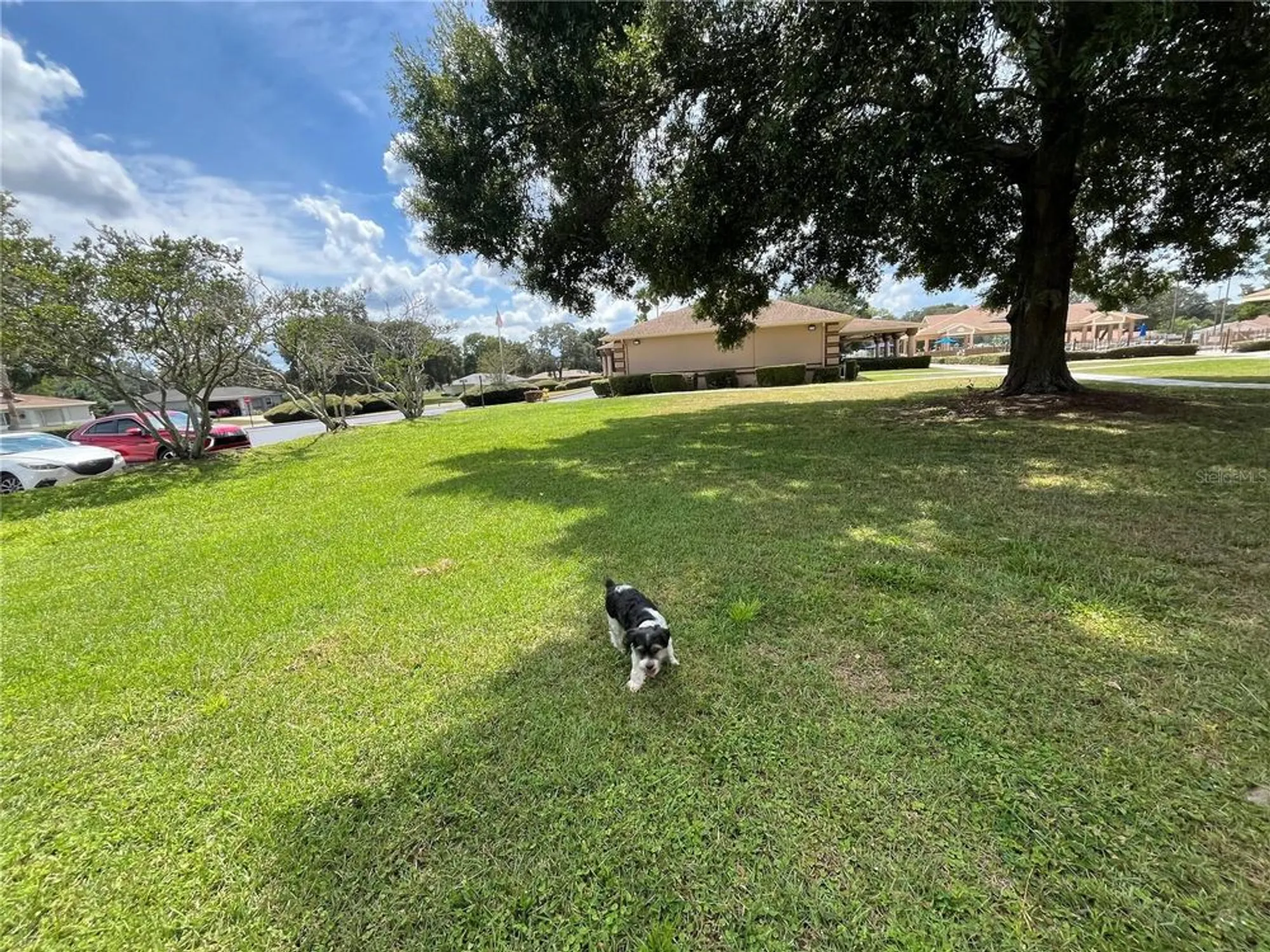 Property Slideshow image 59 of 59 | 10583 sw 62nd terrace rd, Ocala, FL, 34476