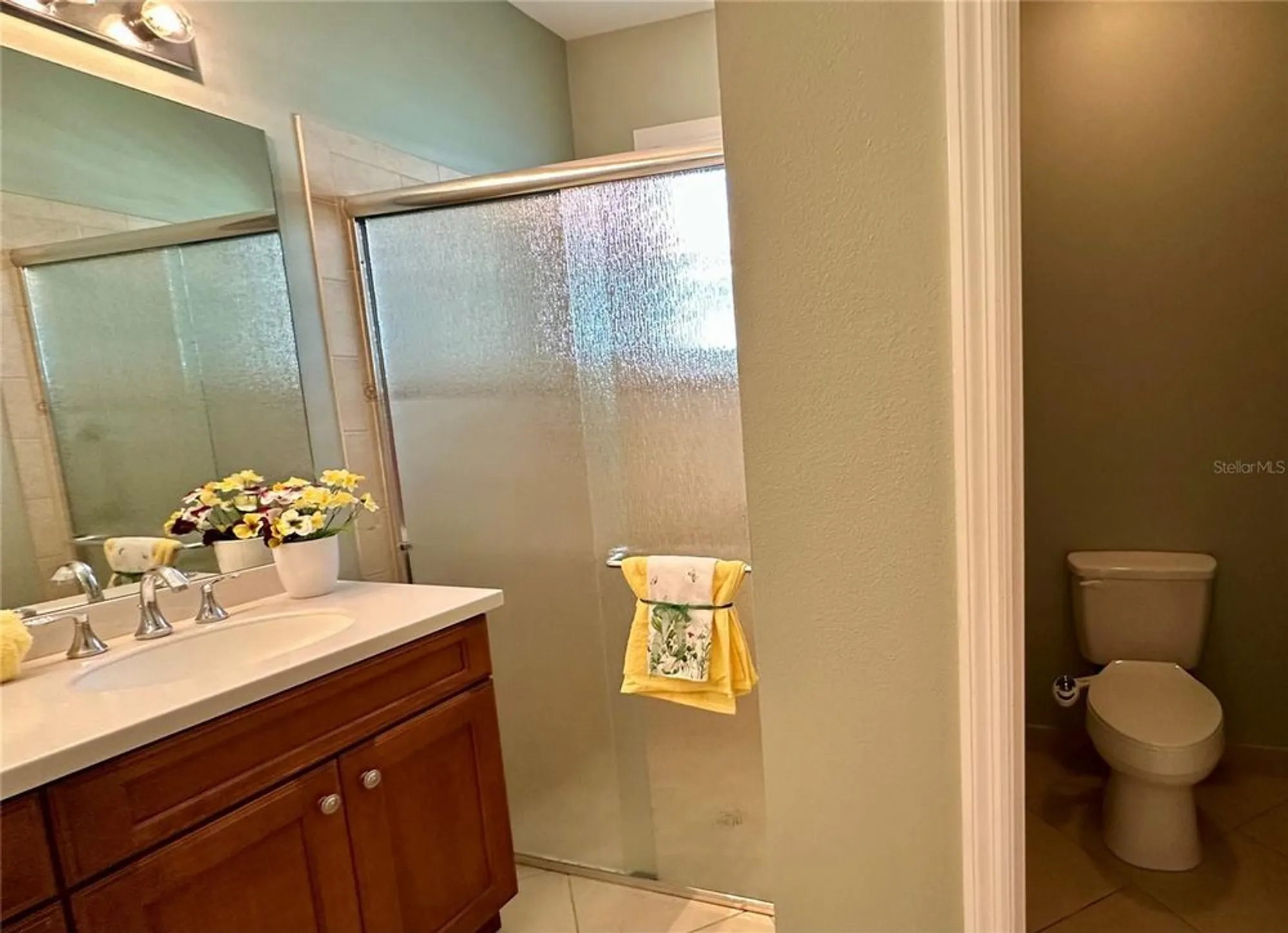 Property Slideshow image 21 of 69 | 16209 amethyst key dr, Wimauma, FL, 33598