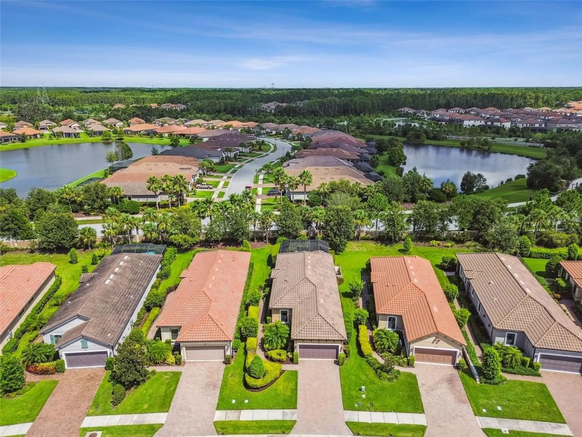 Property Slideshow image 64 of 70 | 11551 callisia dr, Odessa, FL, 33556