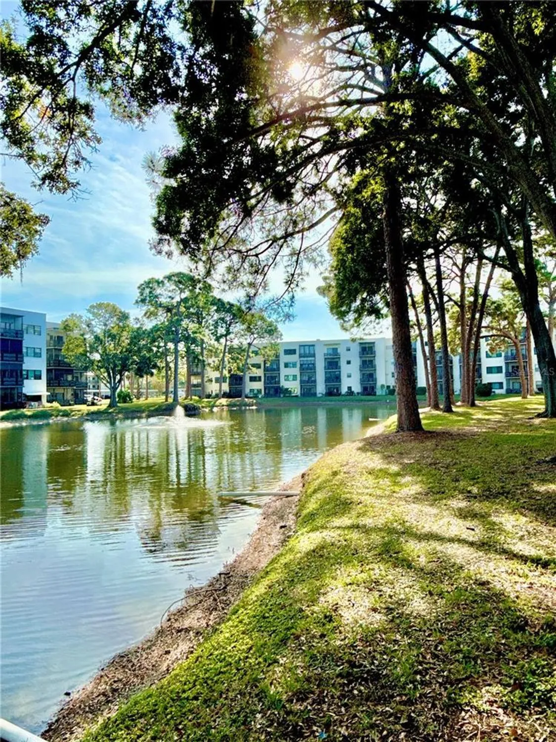 Property Slideshow image 4 of 46 | 5970 80th st n unit 411, St Petersburg, FL, 33709