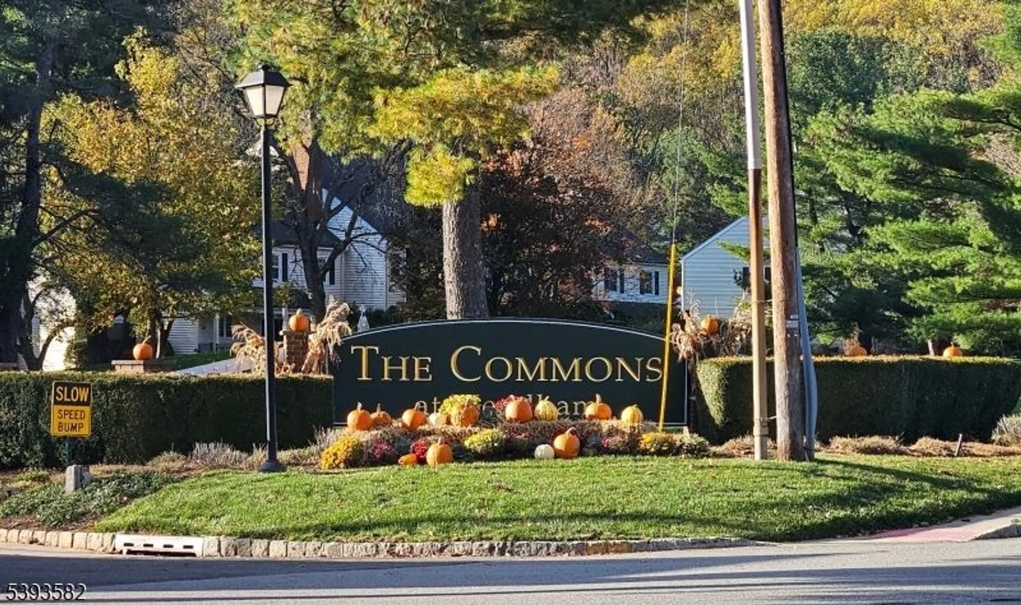 Property Slideshow image 17 of 17 | 54 pembroke dr, Mendham, NJ, 07945