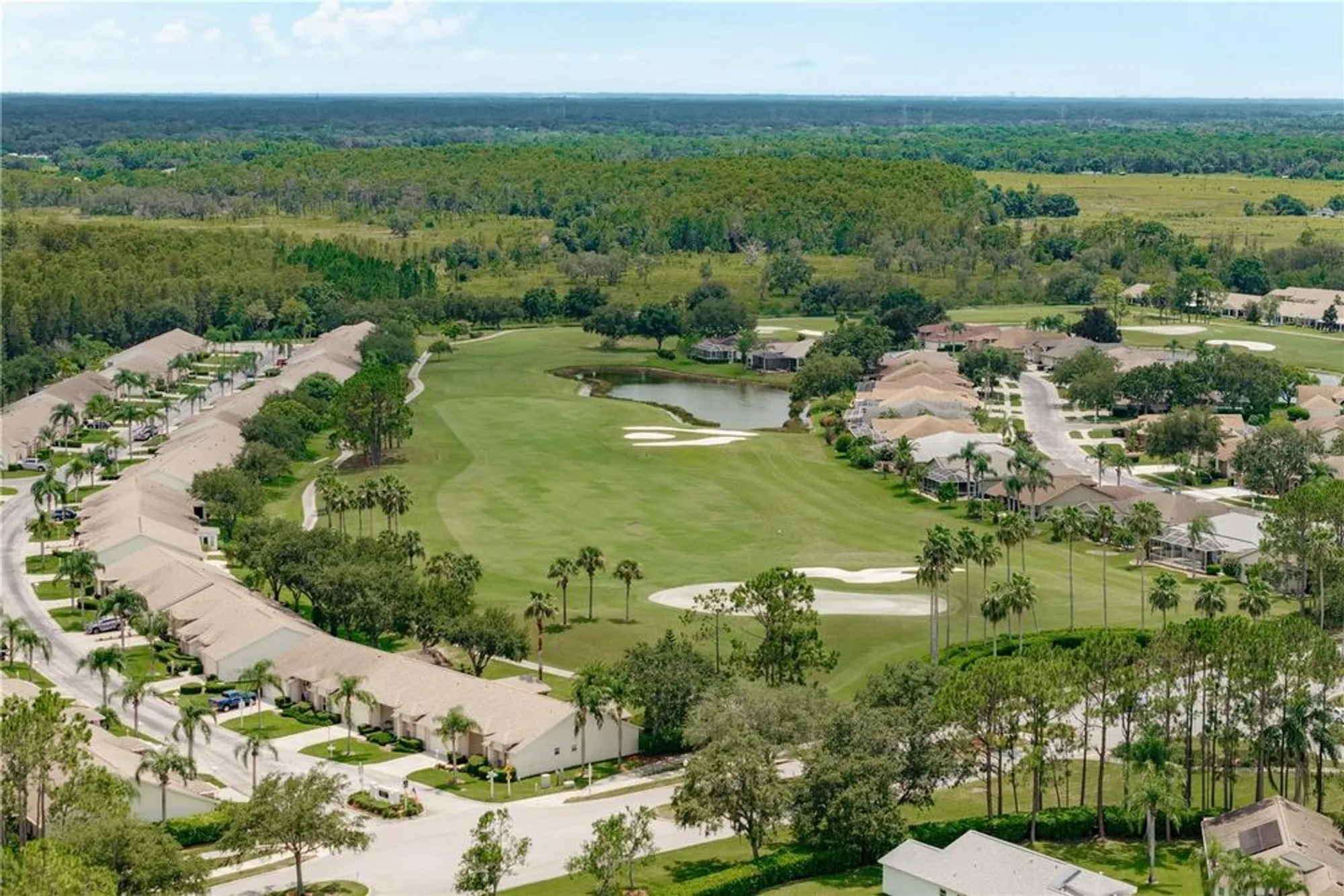 Property Slideshow image 40 of 49 | 1251 rambling vine ct, Trinity, FL, 34655