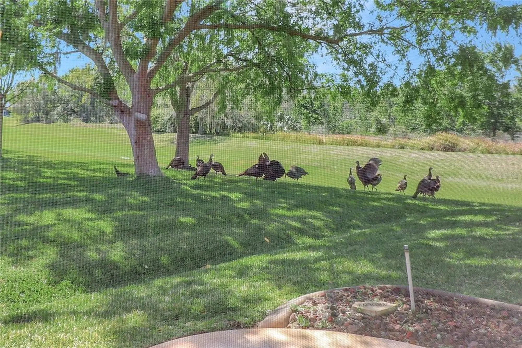 Property Slideshow image 27 of 46 | 20751 queen alexandra dr, Leesburg, FL, 34748