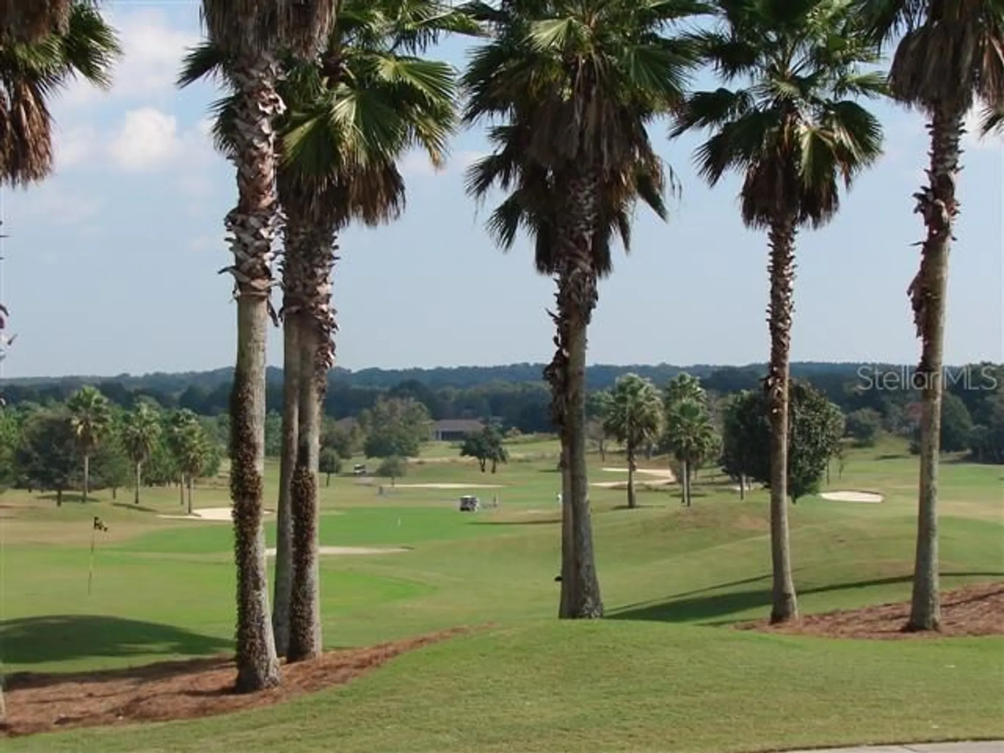 Property Slideshow image 64 of 79 | 9446 se 125th st, Summerfield, FL, 34491