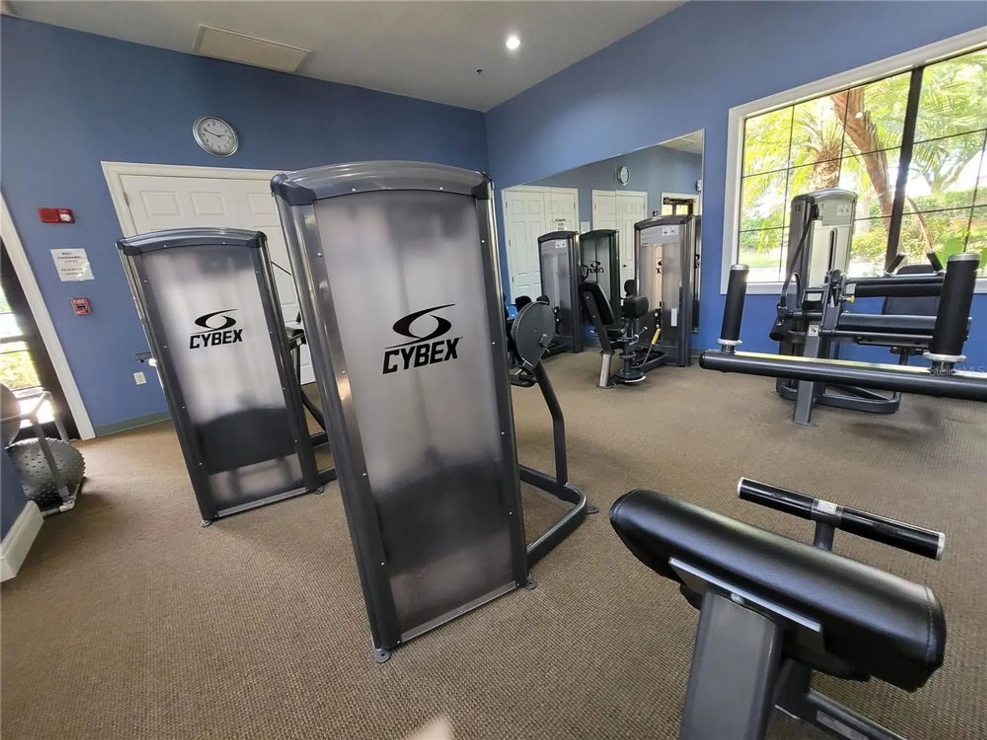 Property Slideshow image 70 of 100 | 303 bluewater falls ct, Apollo Beach, FL, 33572