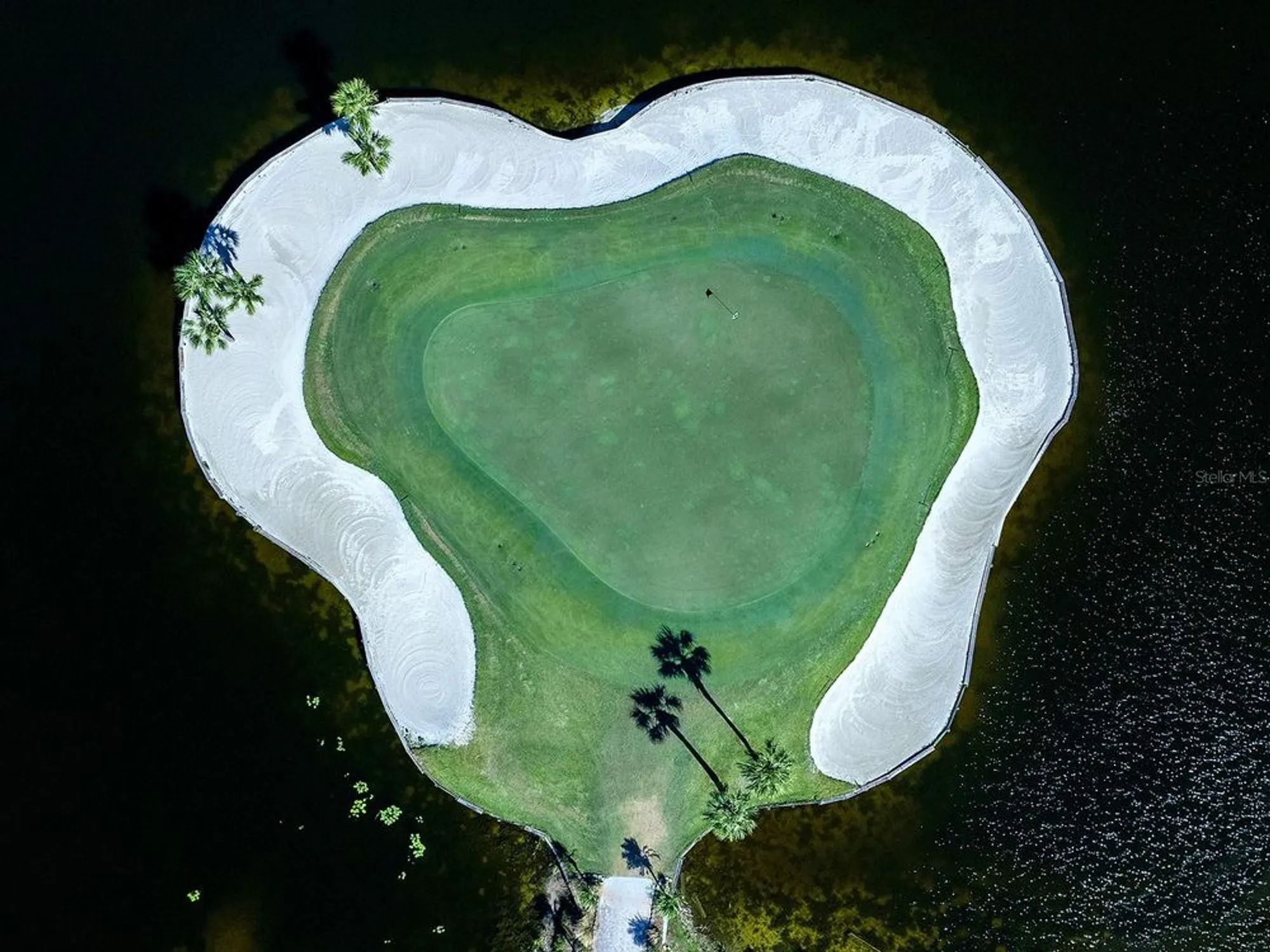 Property Slideshow image 33 of 41 | 114 southampton pl 237, Venice, FL, 34293