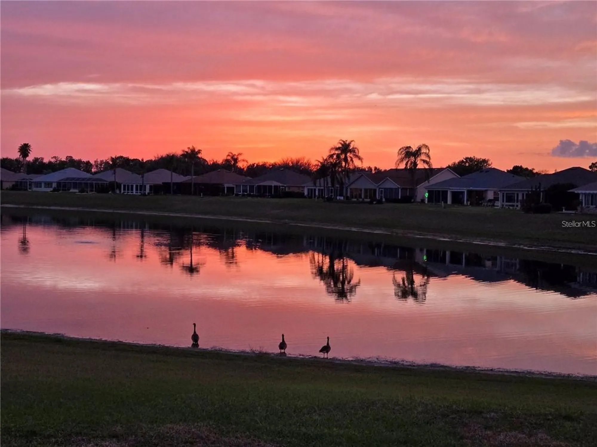 Property Slideshow image 38 of 38 | 2054 palo alto ave, The Villages, FL, 32159