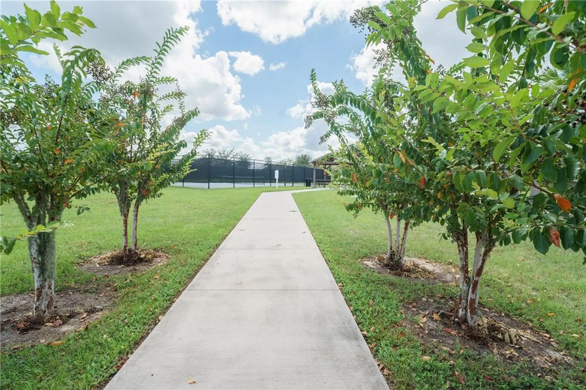 Property Slideshow image 56 of 71 | 6250 sw 89th lane rd, Ocala, FL, 34476
