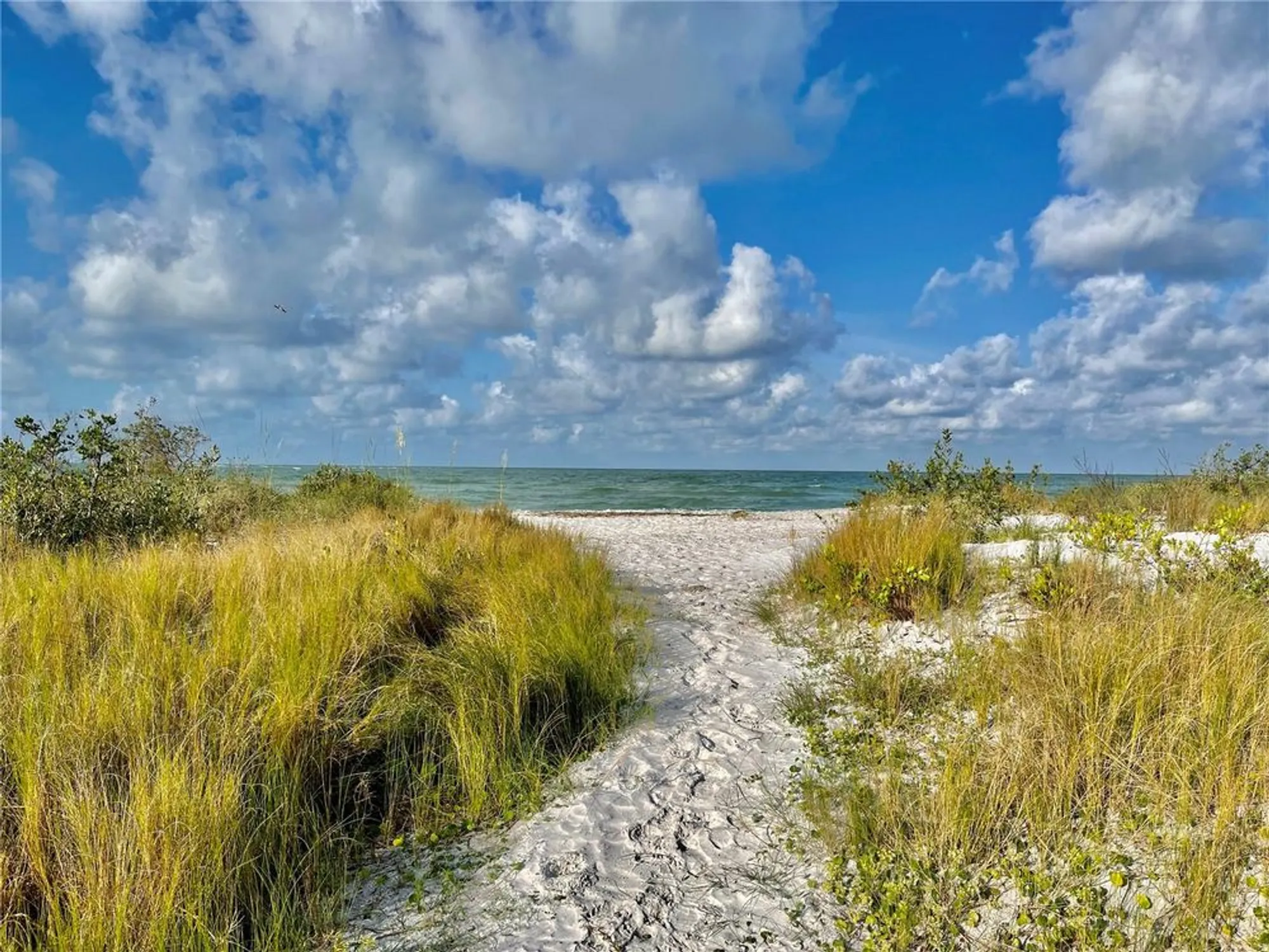 Property Slideshow image 37 of 38 | 2254 norwegian dr 46, Clearwater, FL, 33763