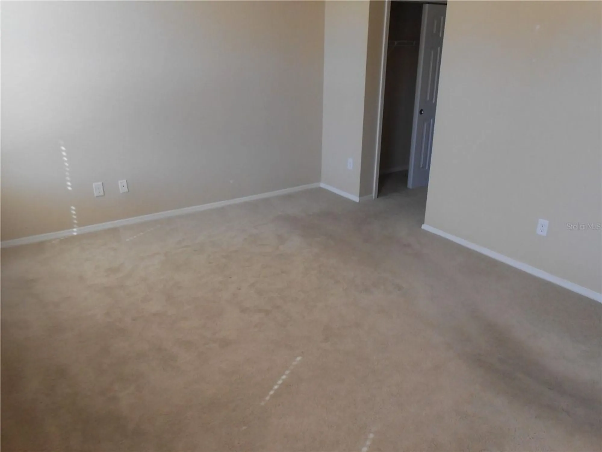 Property Slideshow image 54 of 61 | 344 mystic falls dr, Apollo Beach, FL, 33572