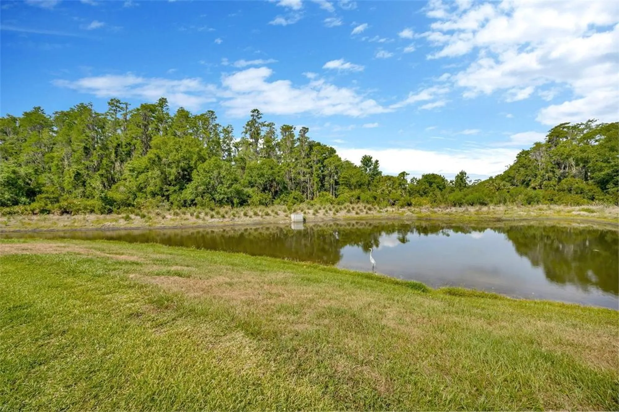Property Slideshow image 48 of 91 | 4831 rosatti rd, Wesley Chapel, FL, 33543