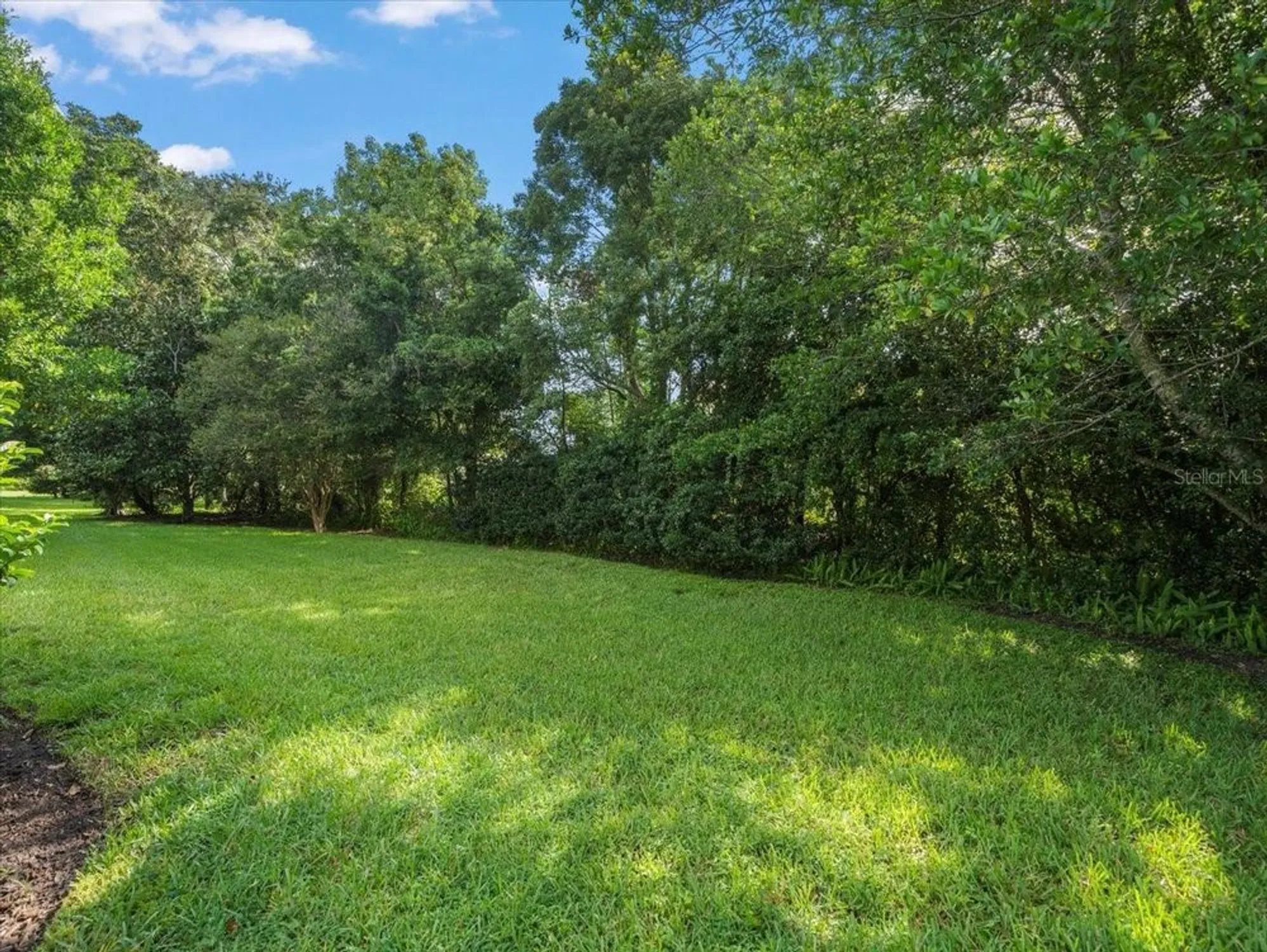 Property Slideshow image 53 of 61 | 4554 secretariat run, Brooksville, FL, 34609