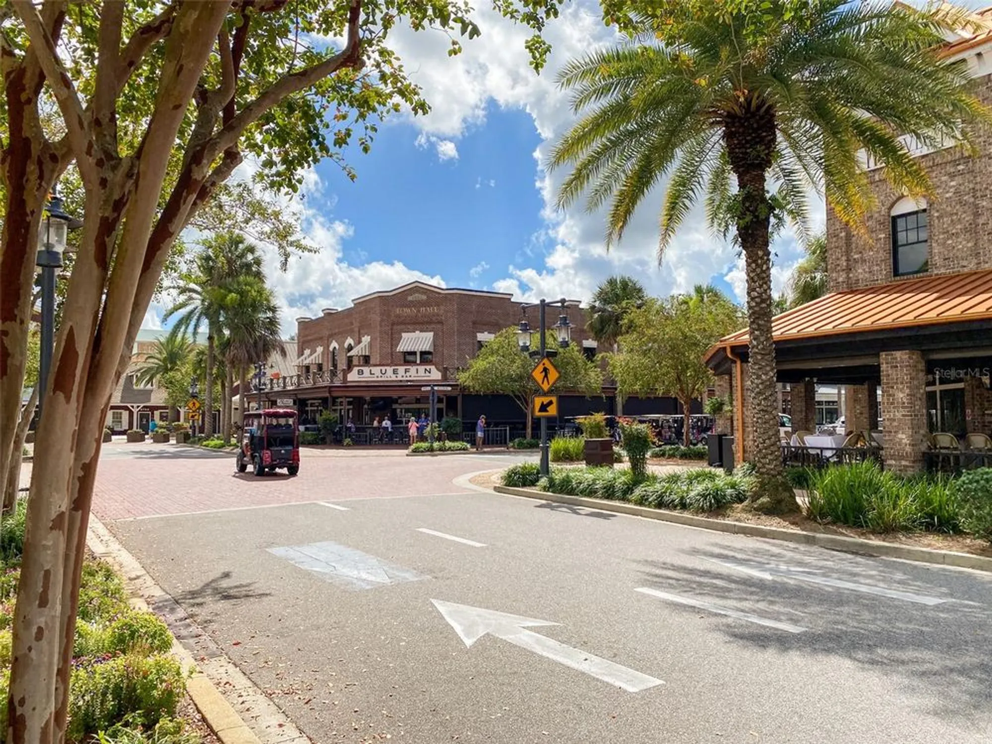 Property Slideshow image 49 of 59 | 3009 olenda dr, The Villages, FL, 32163