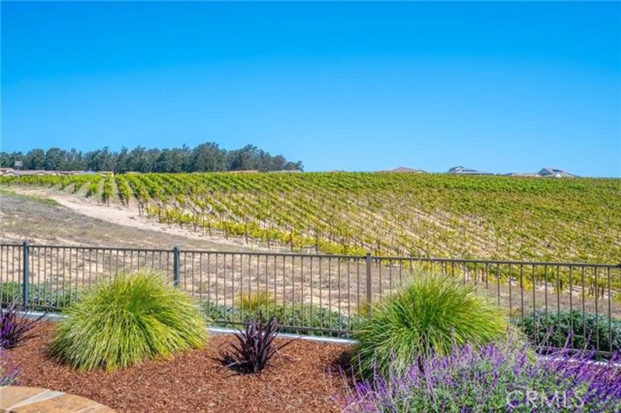 Property Slideshow image 65 of 71 | 867 trail view pl, Nipomo, CA, 93444