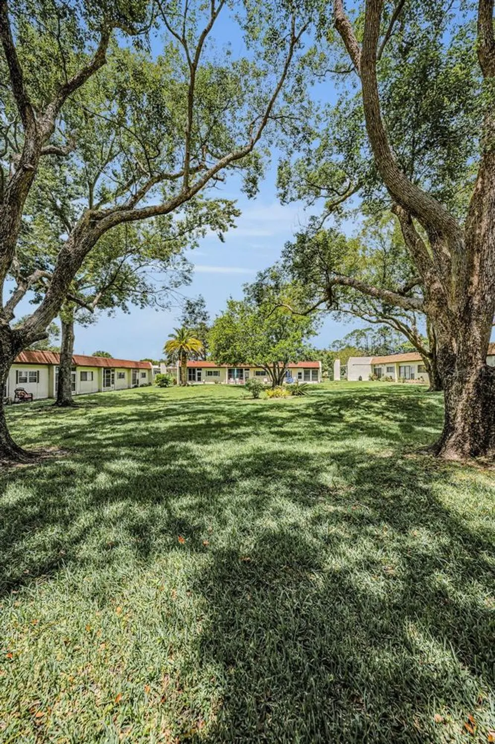 Property Slideshow image 40 of 56 | 3116 highlands blvd # 3116, Palm Harbor, FL, 34684