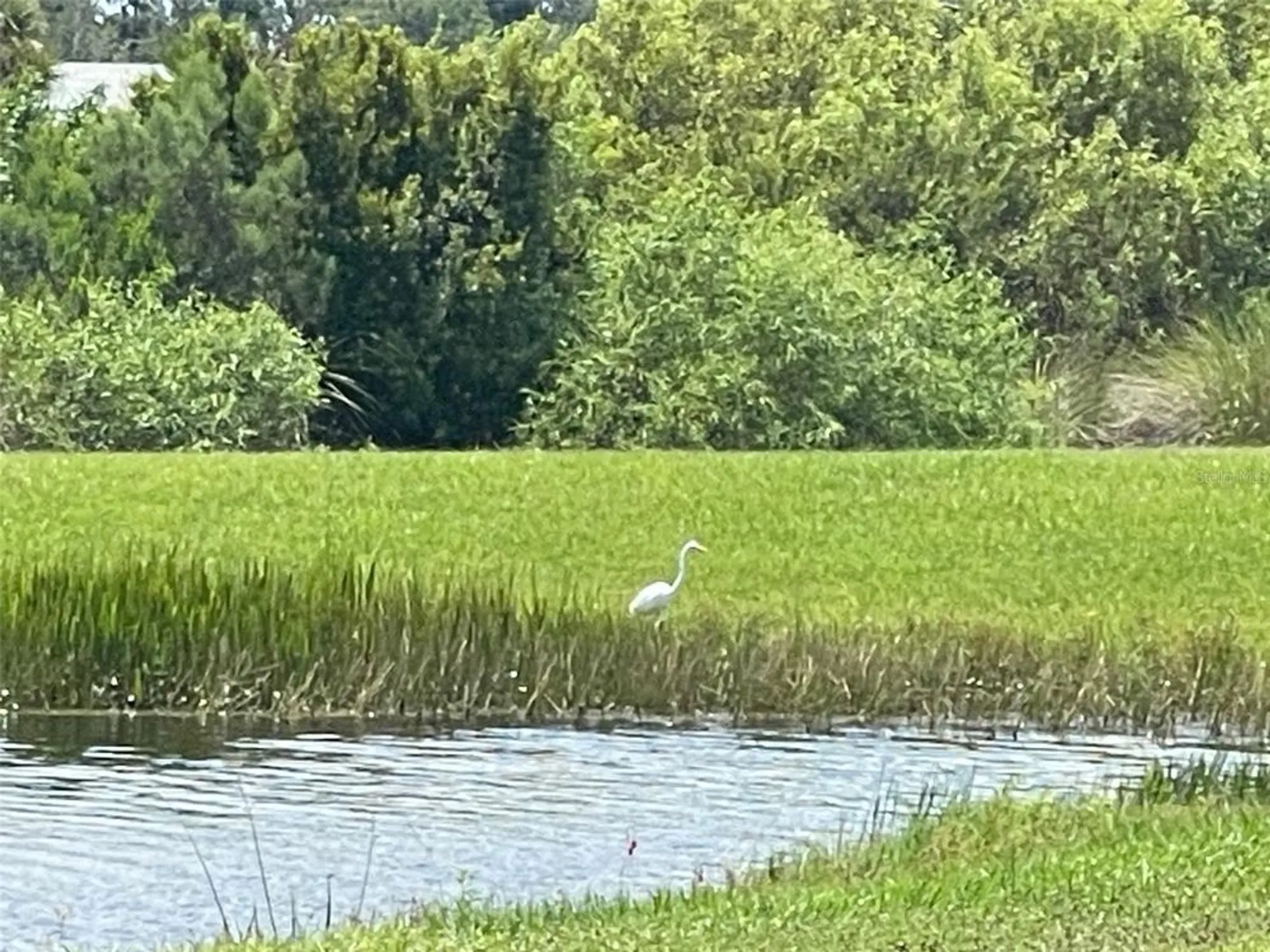 Property Slideshow image 52 of 55 | 4255 pond brook ct, Bradenton, FL, 34211