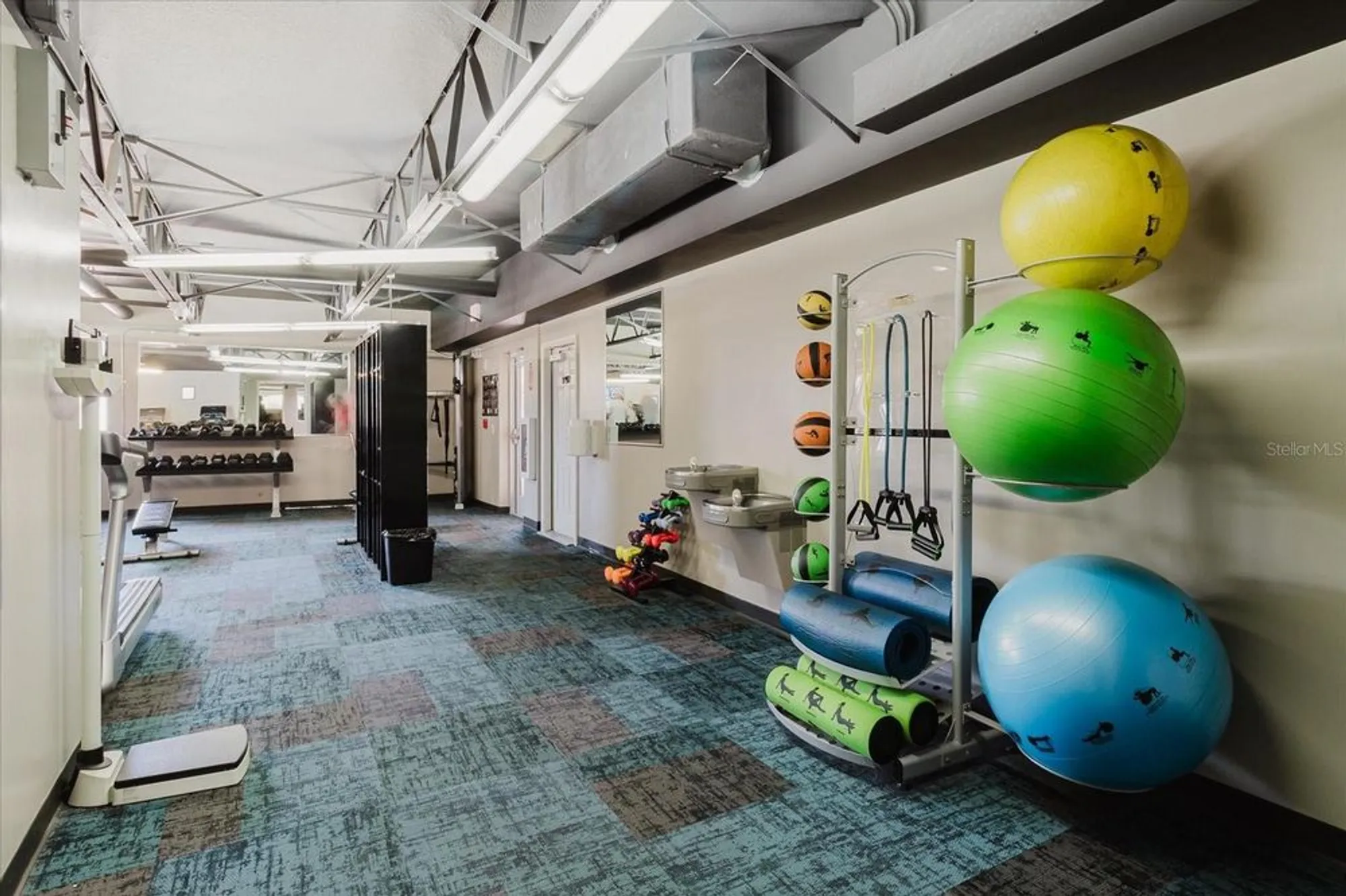 Property Slideshow image 30 of 37 | 11521 rose tree dr, New Port Richey, FL, 34654