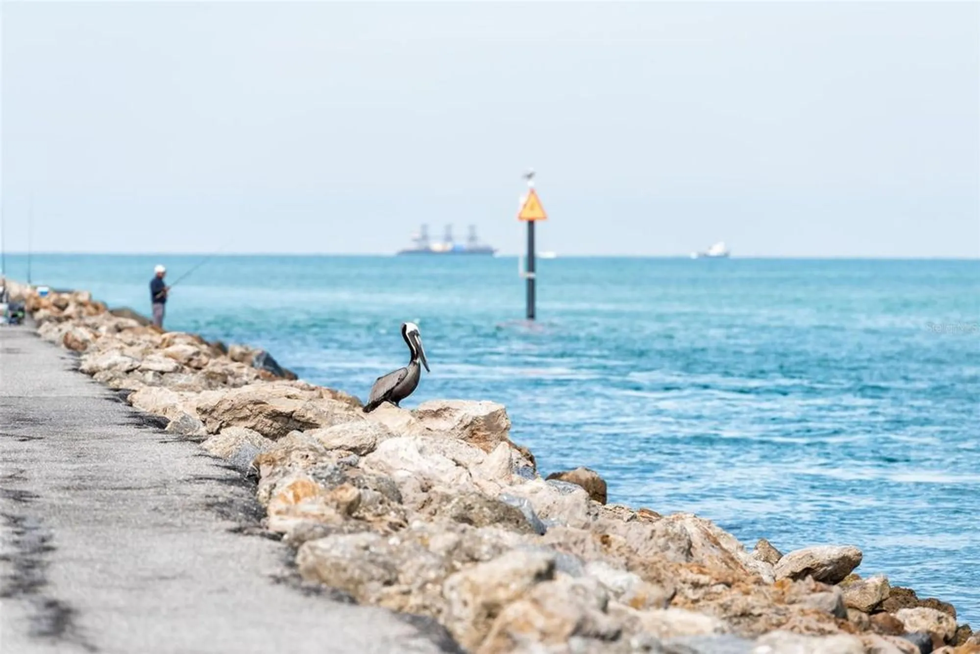 Property Slideshow image 52 of 75 | 13145 steinhatchee loop, Venice, FL, 34293