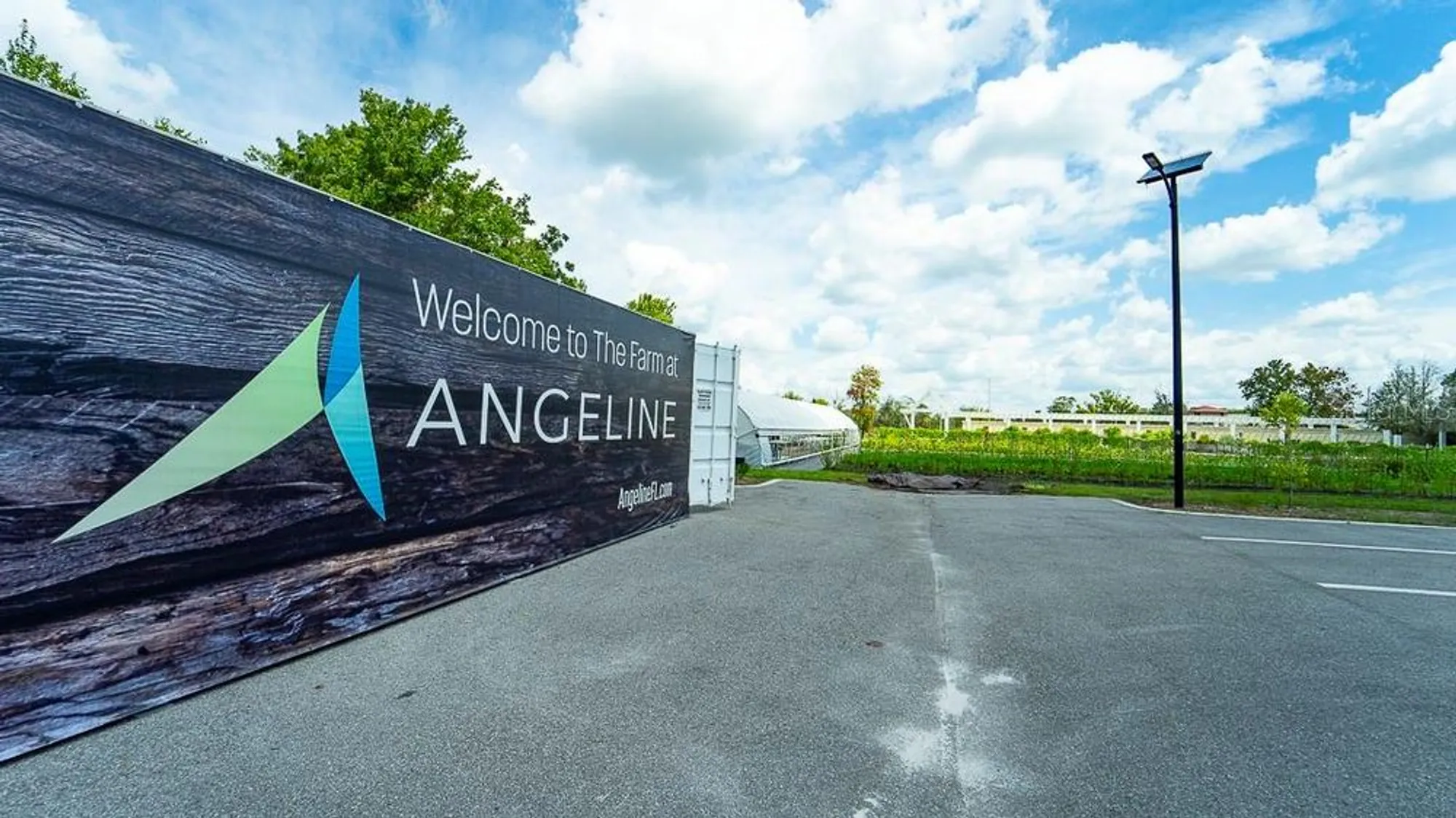 Property Slideshow image 66 of 71 | 10982 banyan breeze blvd, Land O Lakes, FL, 34638