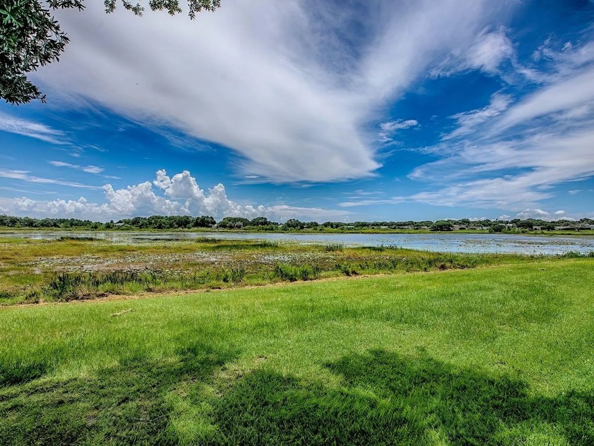 Property Slideshow image 36 of 45 | 25007 bellevue, Leesburg, FL, 34748