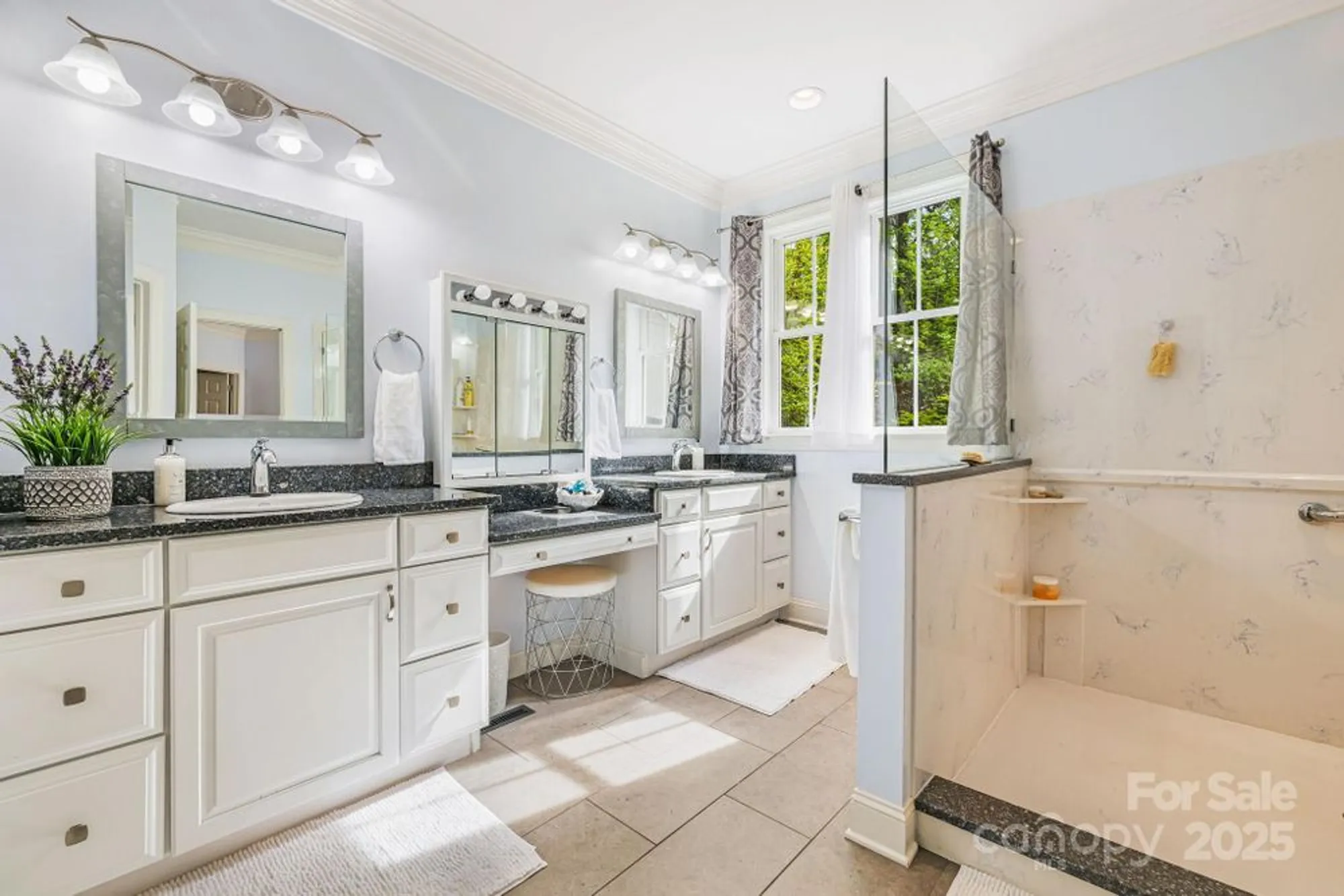 Property Slideshow image 18 of 48 | 14 larue ct, Biltmore Lake, NC, 28715