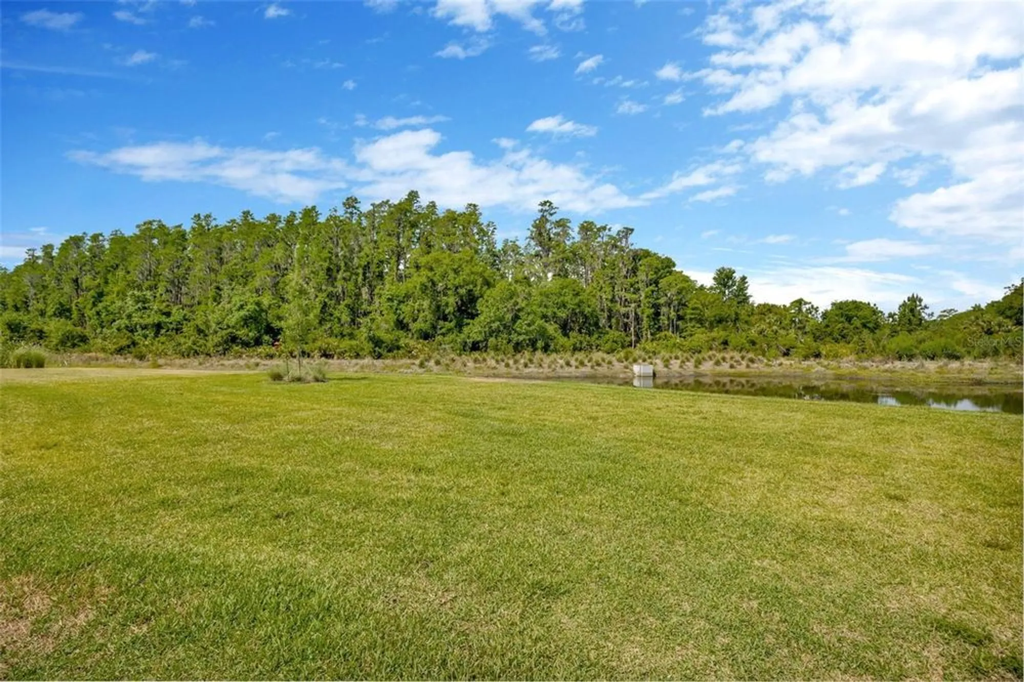 Property Slideshow image 47 of 91 | 4831 rosatti rd, Wesley Chapel, FL, 33543