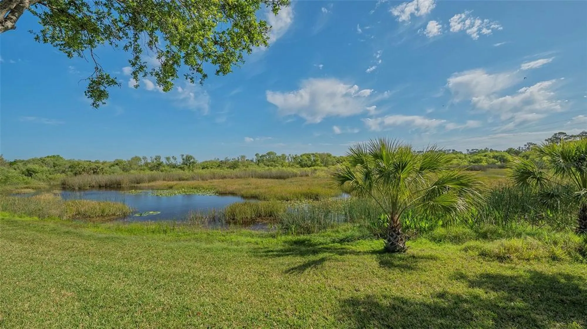Property Slideshow image 33 of 43 | 5934 guarino dr, Sarasota, FL, 34238
