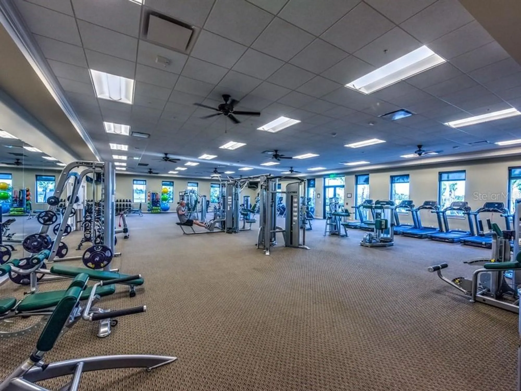 Property Slideshow image 36 of 38 | 24036 spartina dr, Venice, FL, 34293